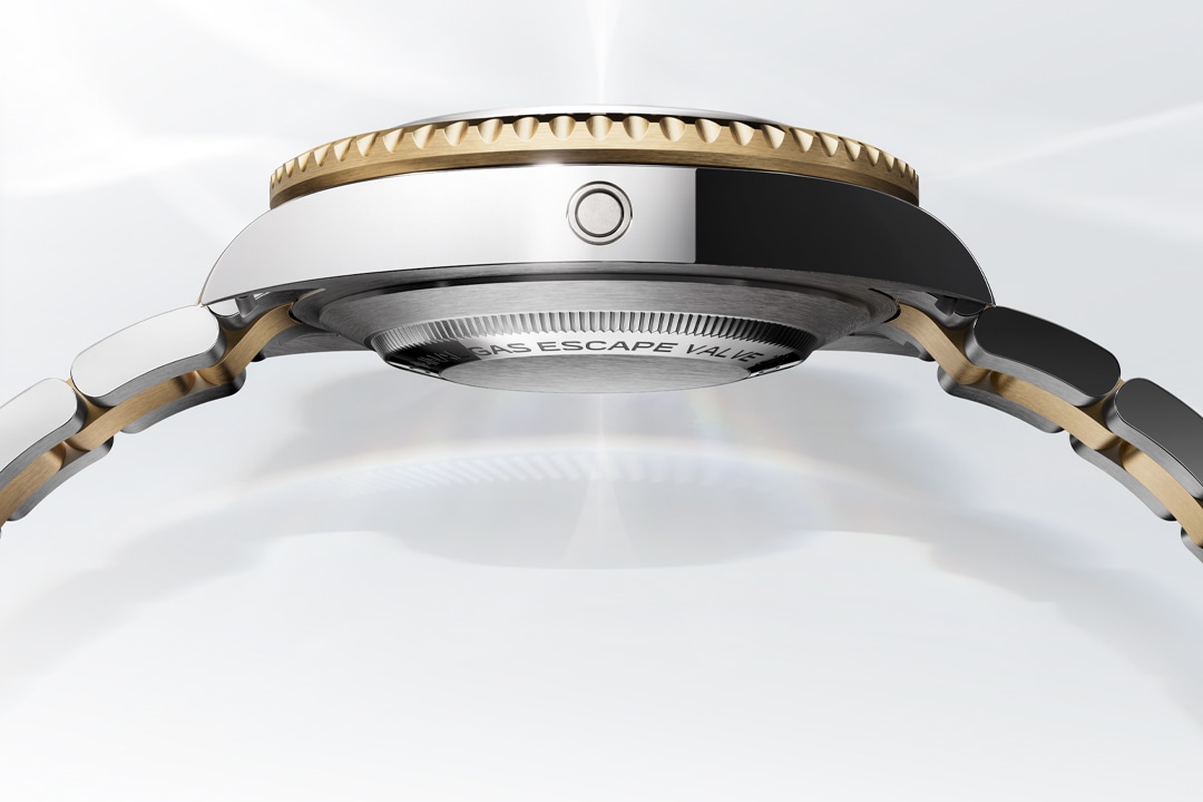 watchmaking-features-cases-