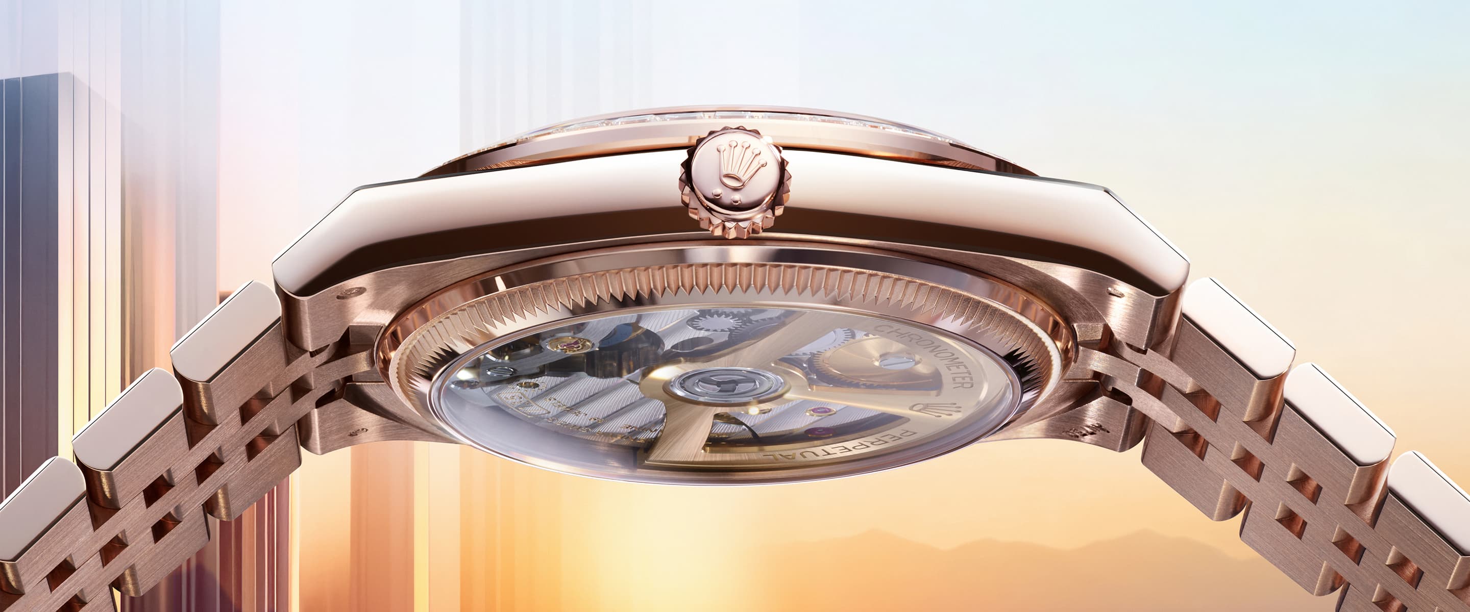 Land-Dweller transparent case back