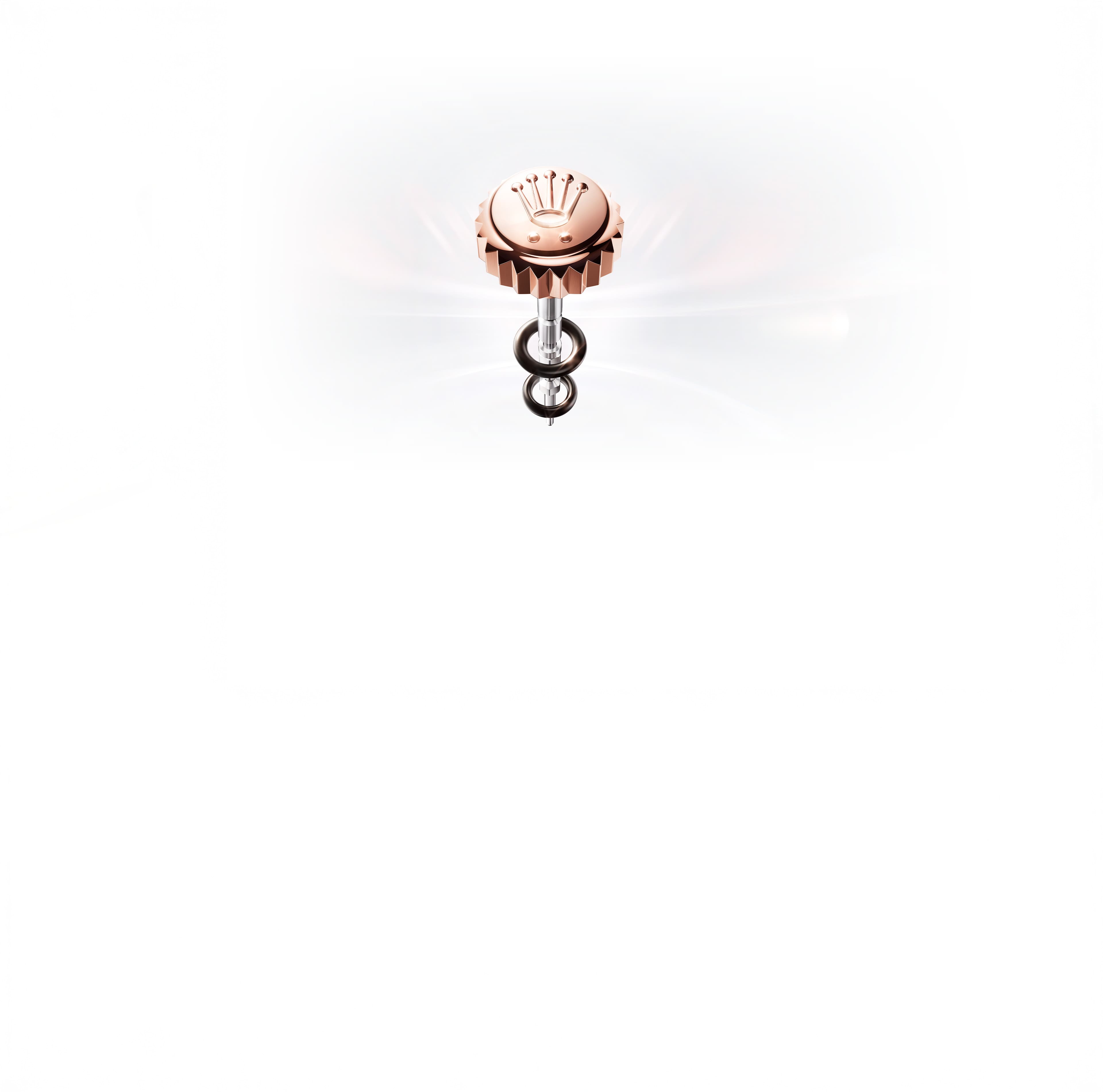 watchmaking-features-case-