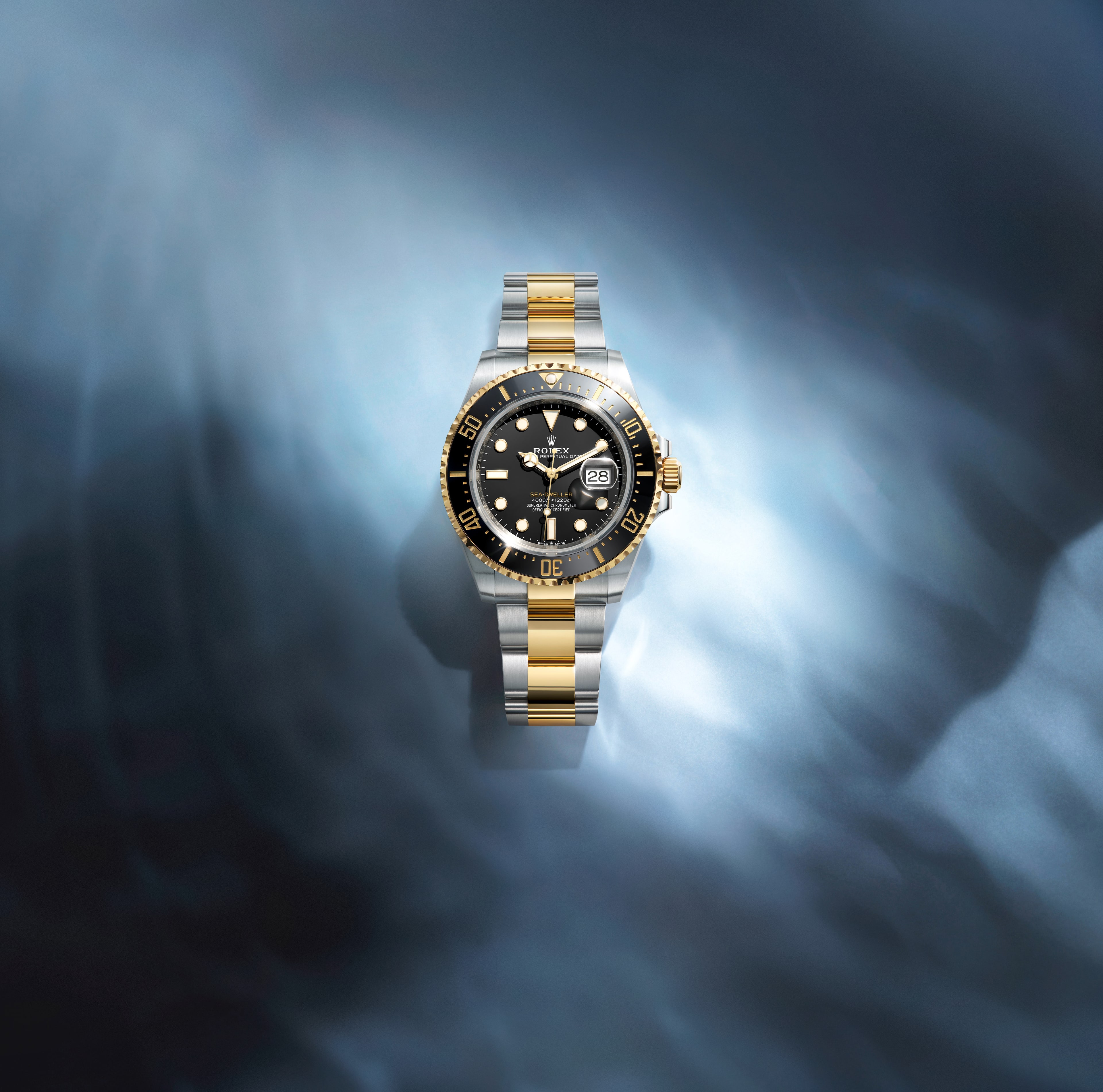 professional-watches-sea-
