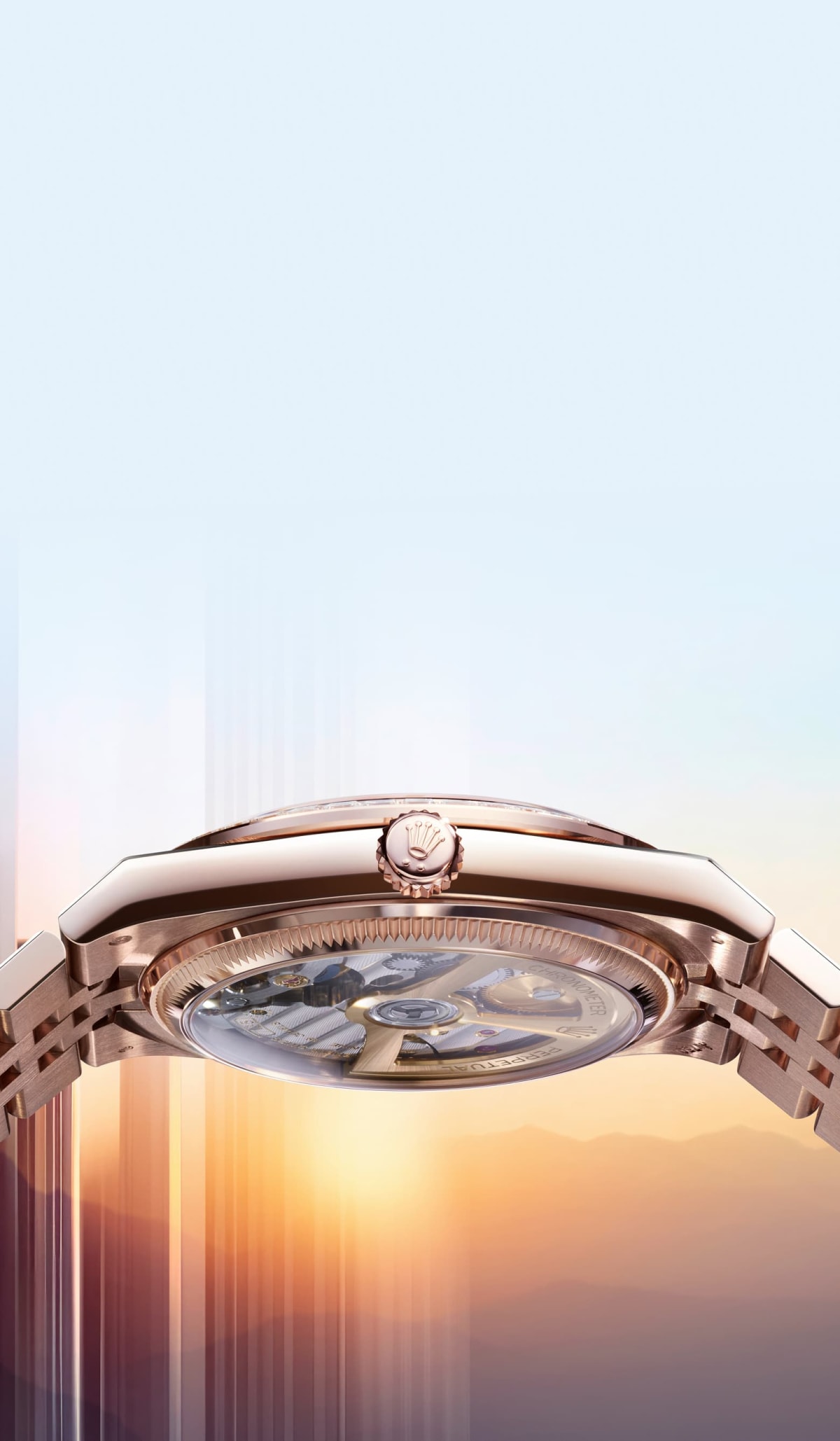 classic-watches-the-land-dweller-transpa
