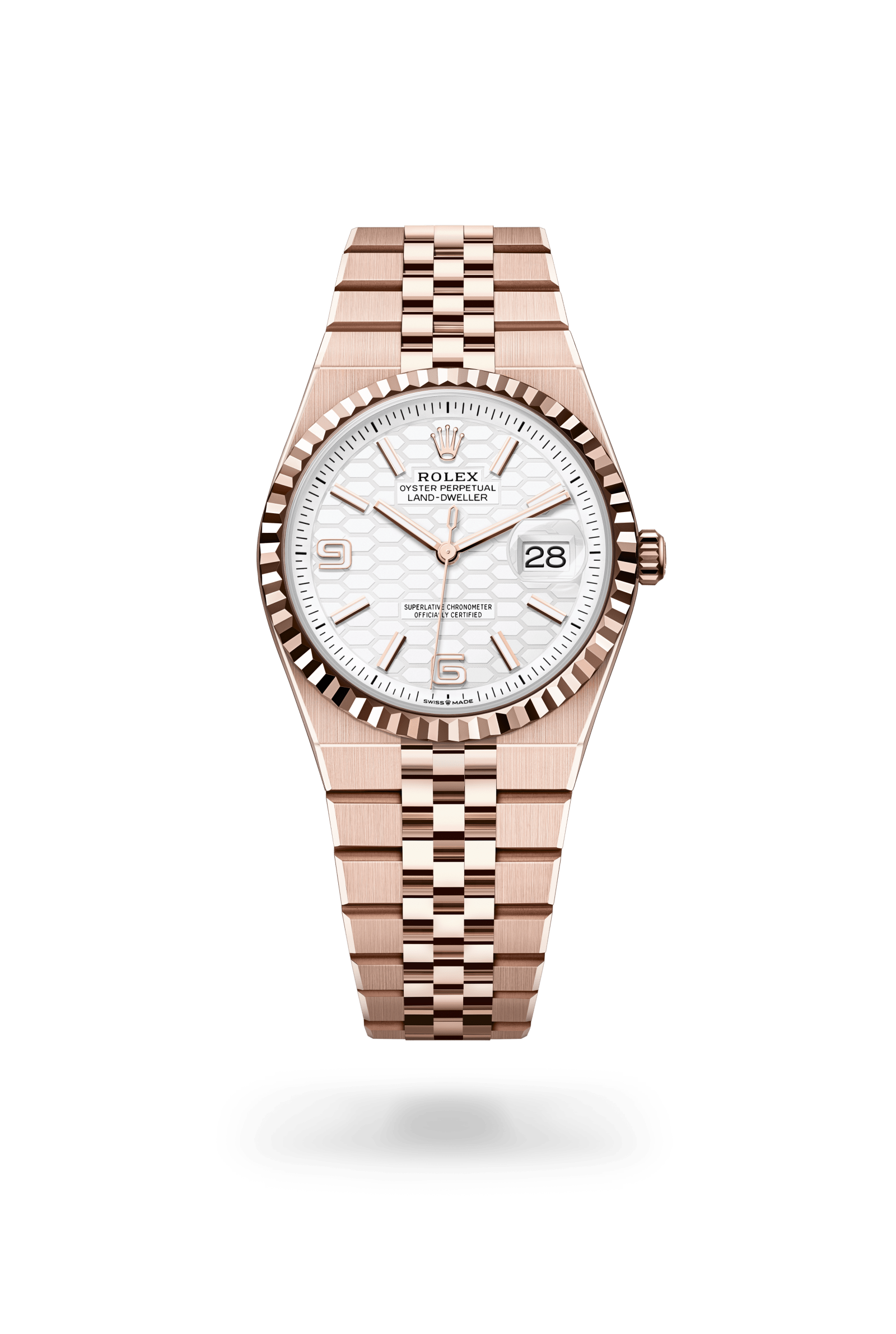 Rolex Land-Dweller 36