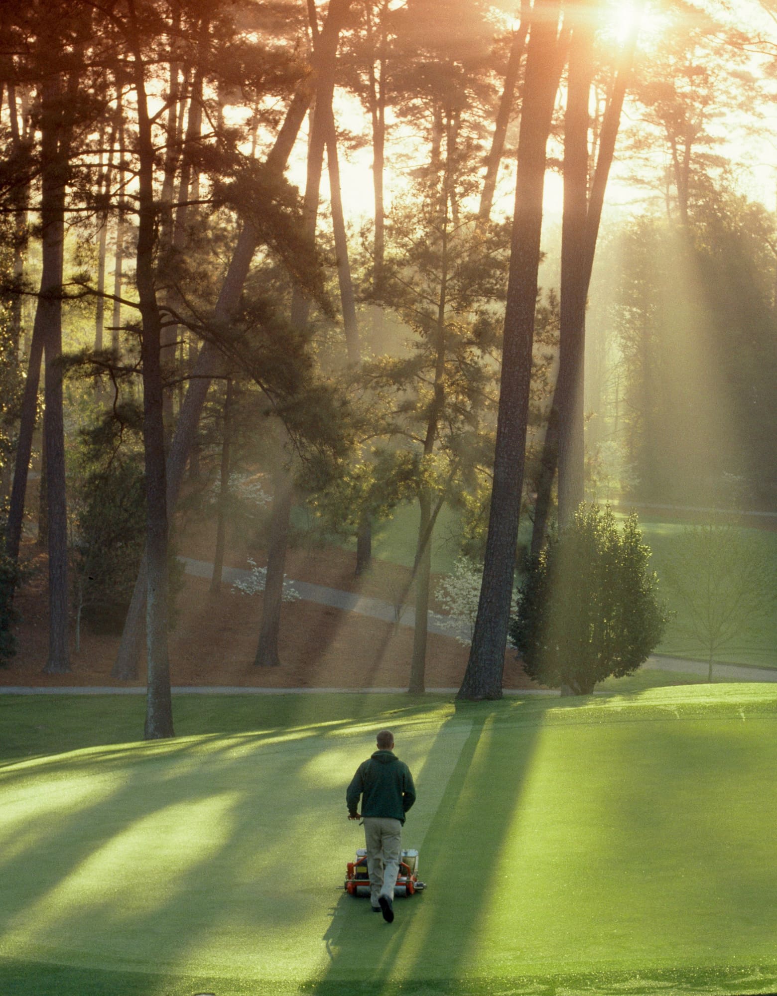 Sức mạnh của truyền thống