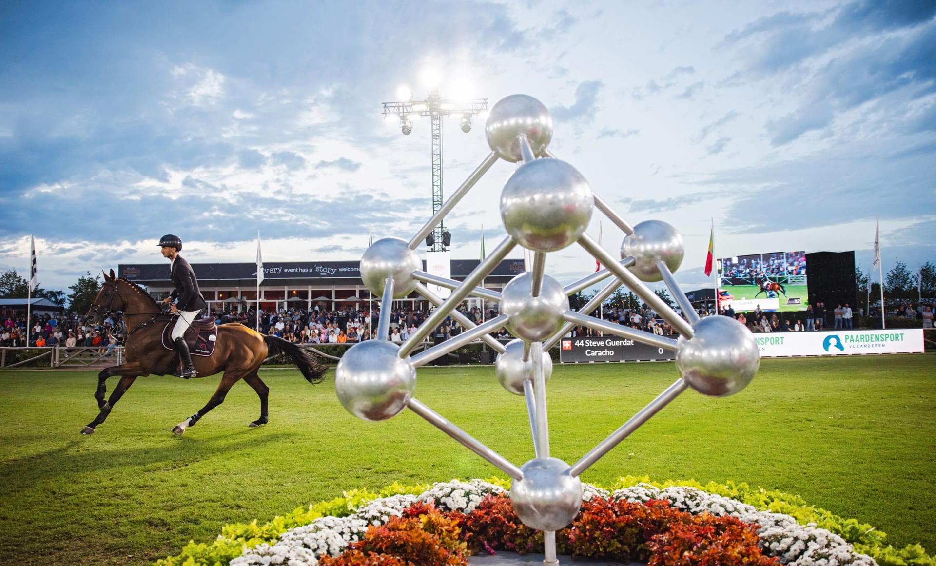 ブリュッセル Stephex