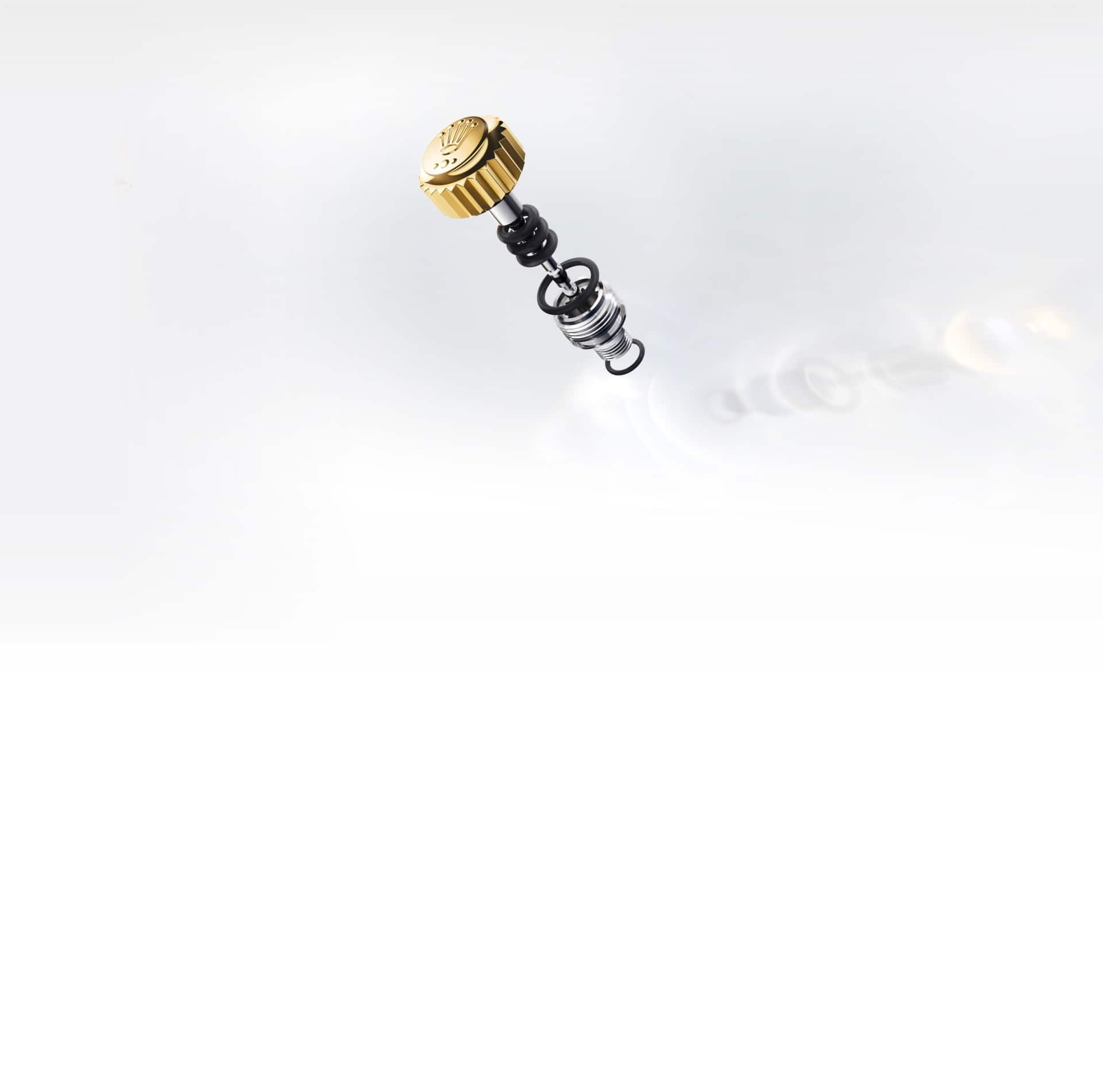                     El sistema Ringlock