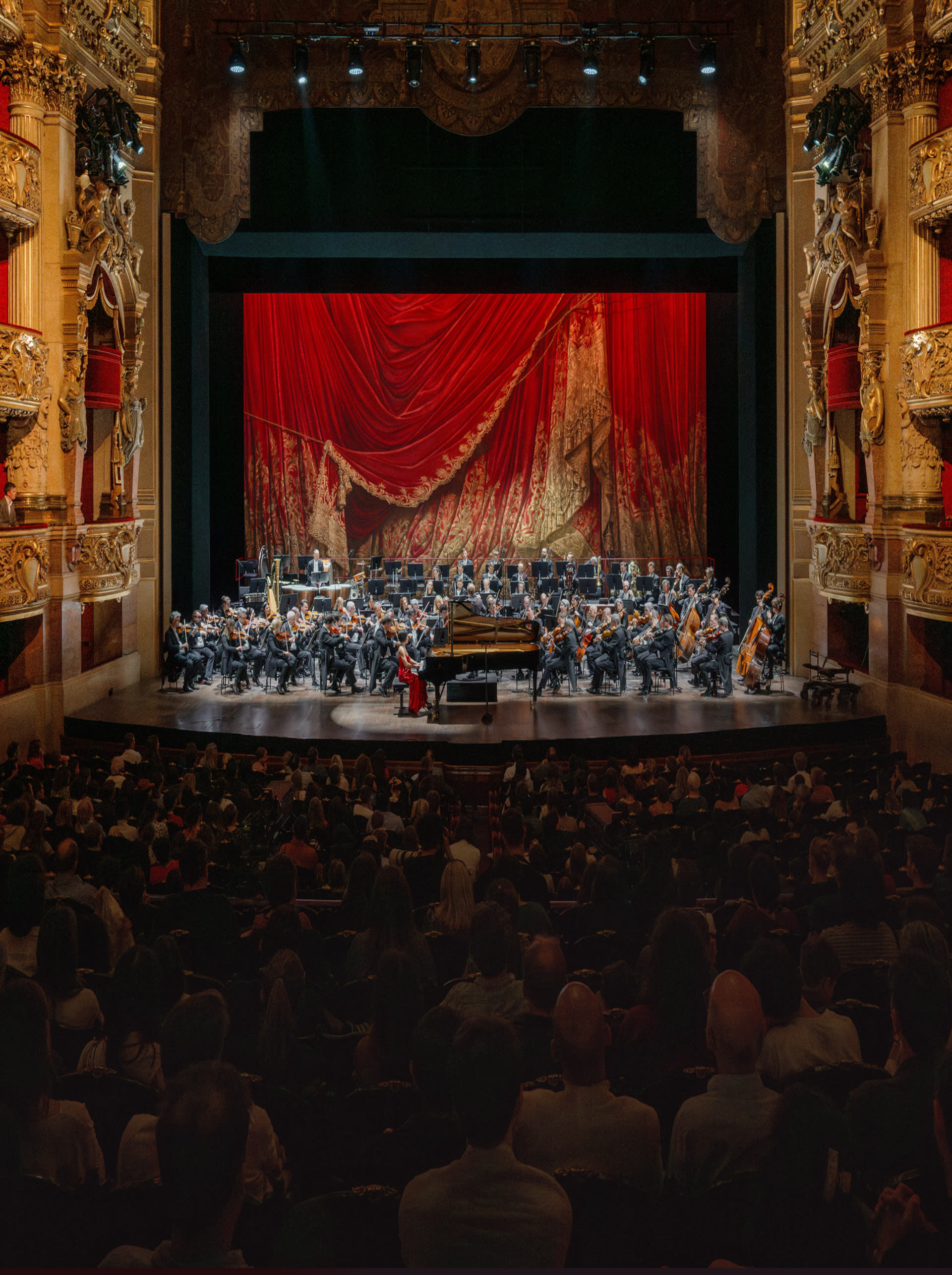 رولكس والموسيقى