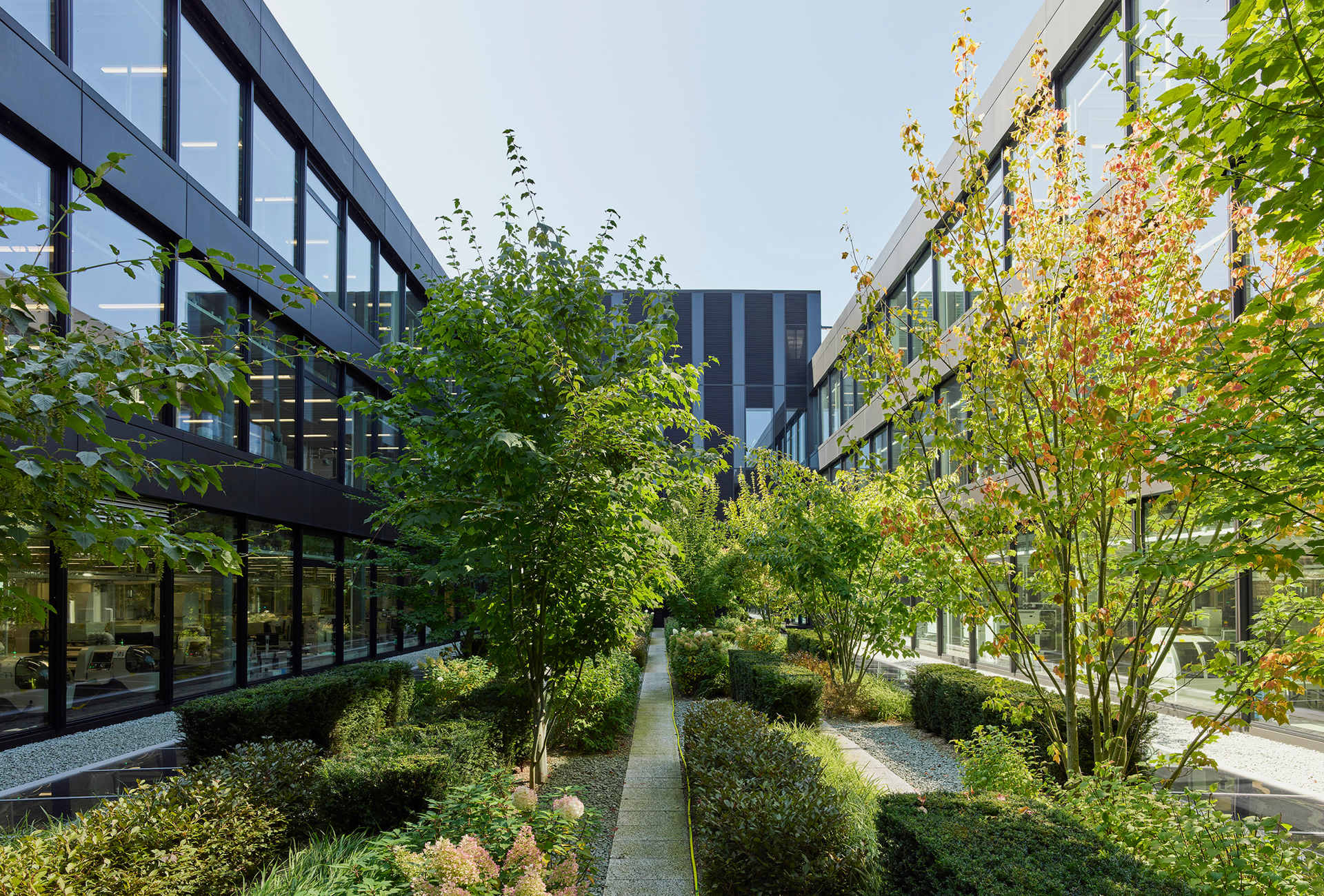 Biyoçeşitliliğin korunması