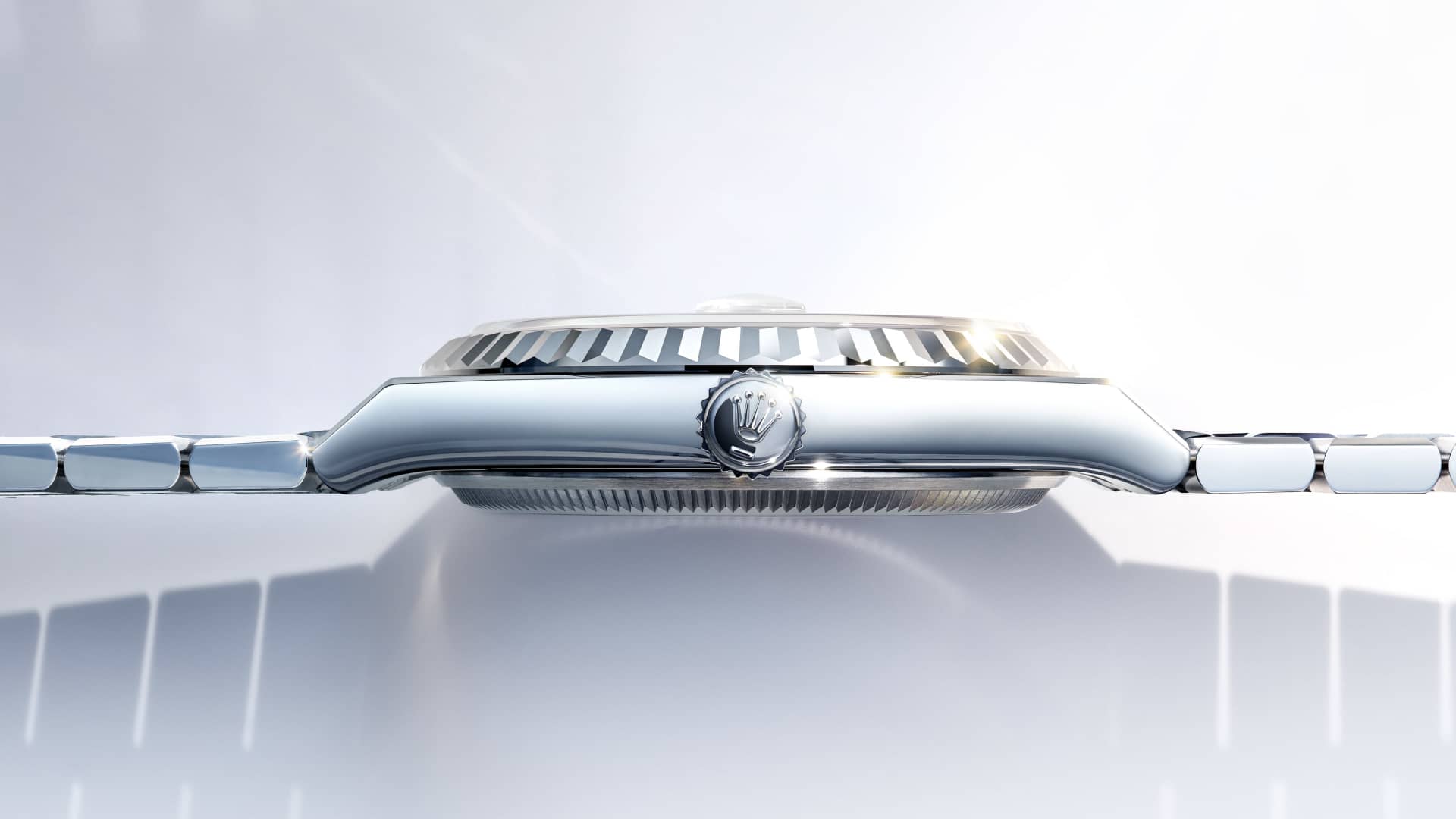 Land-Dweller M127336-0001