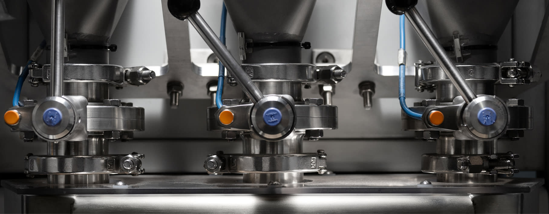 Un modello unico per l’oro