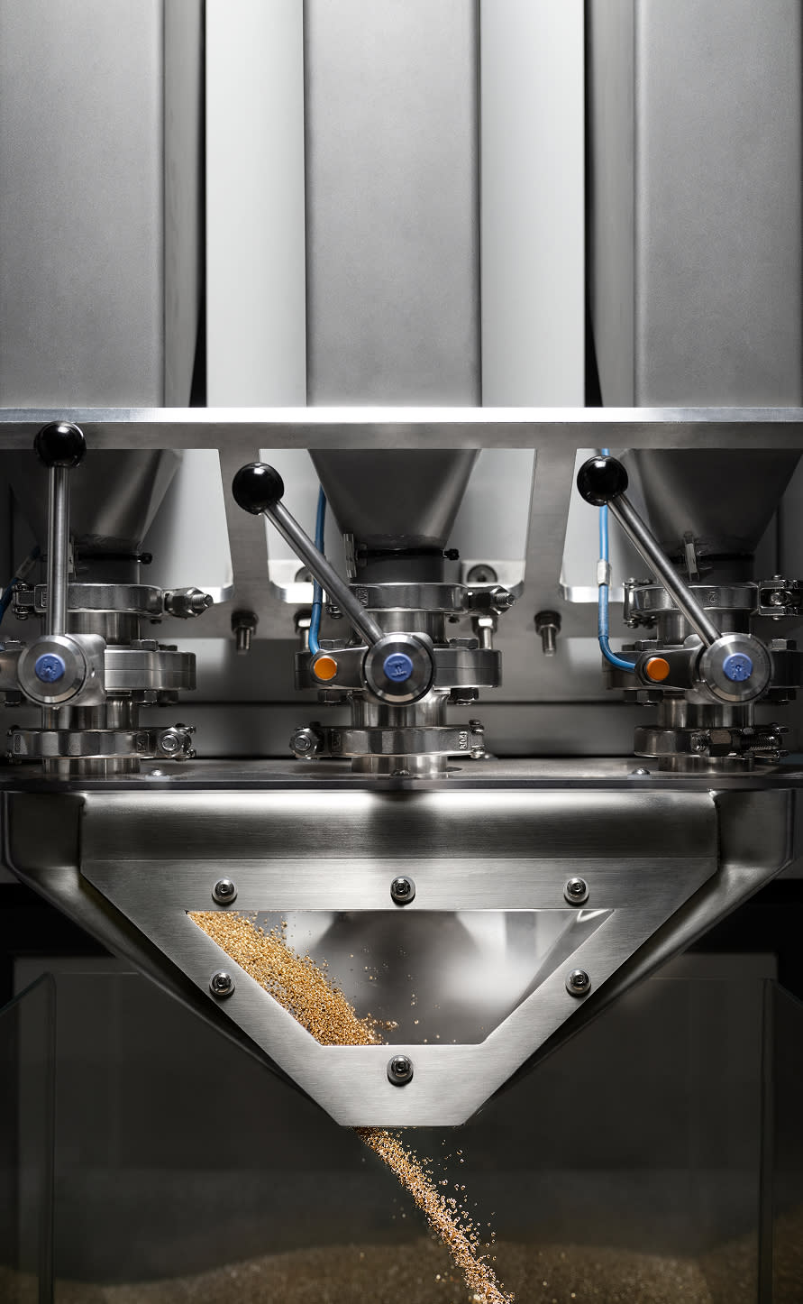 Un modello unico per l’oro