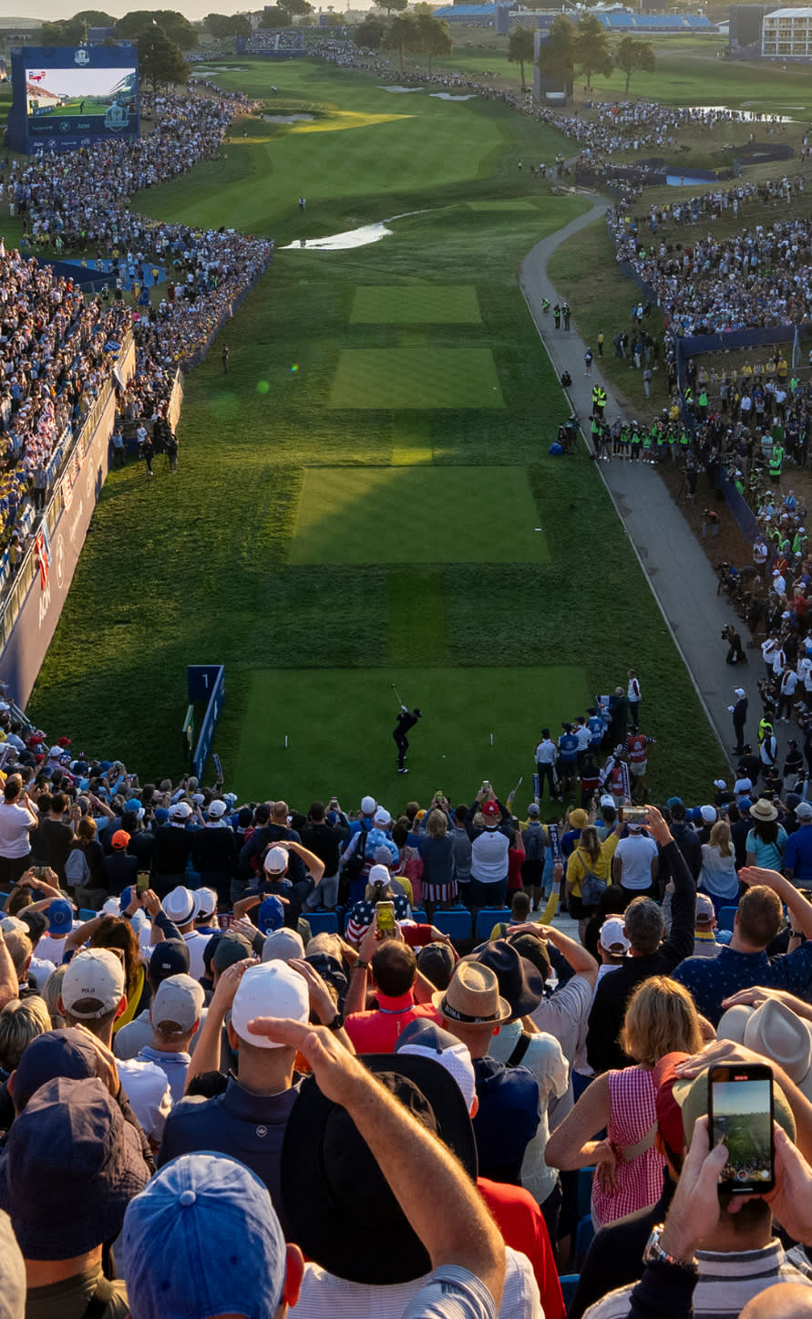 A busca pela excelência