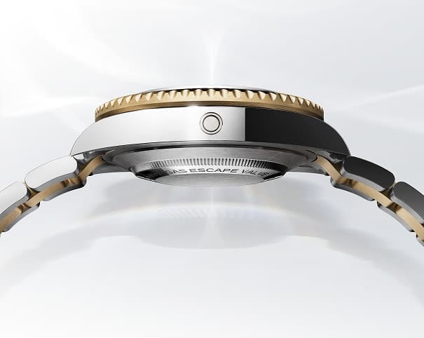 De anatomie van een Rolex