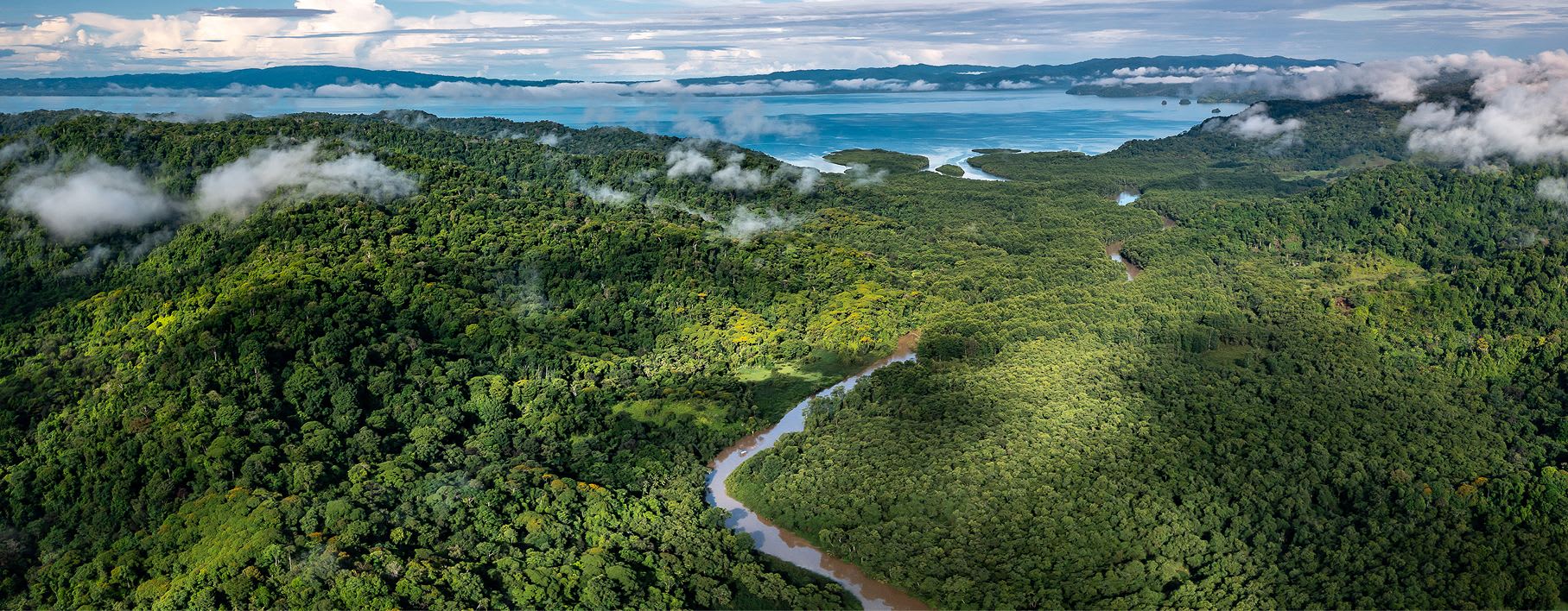 為地球未來努力