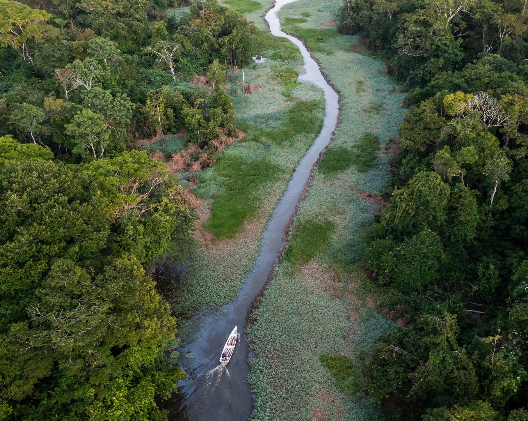 2026年勞力士大獎
