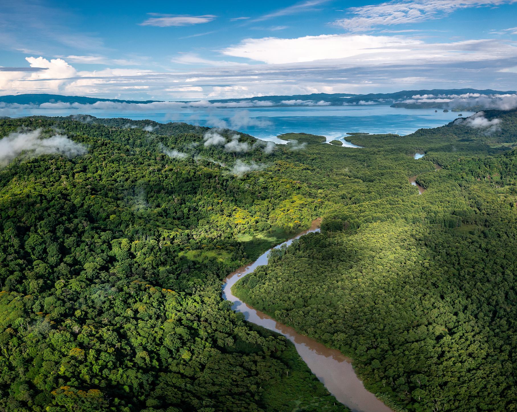 為地球未來努力