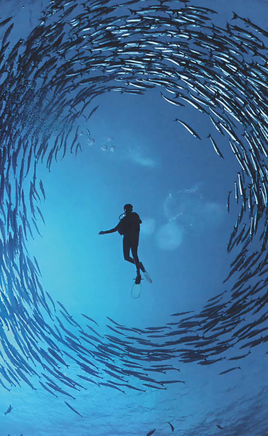 Een nieuw perspectief onthullen