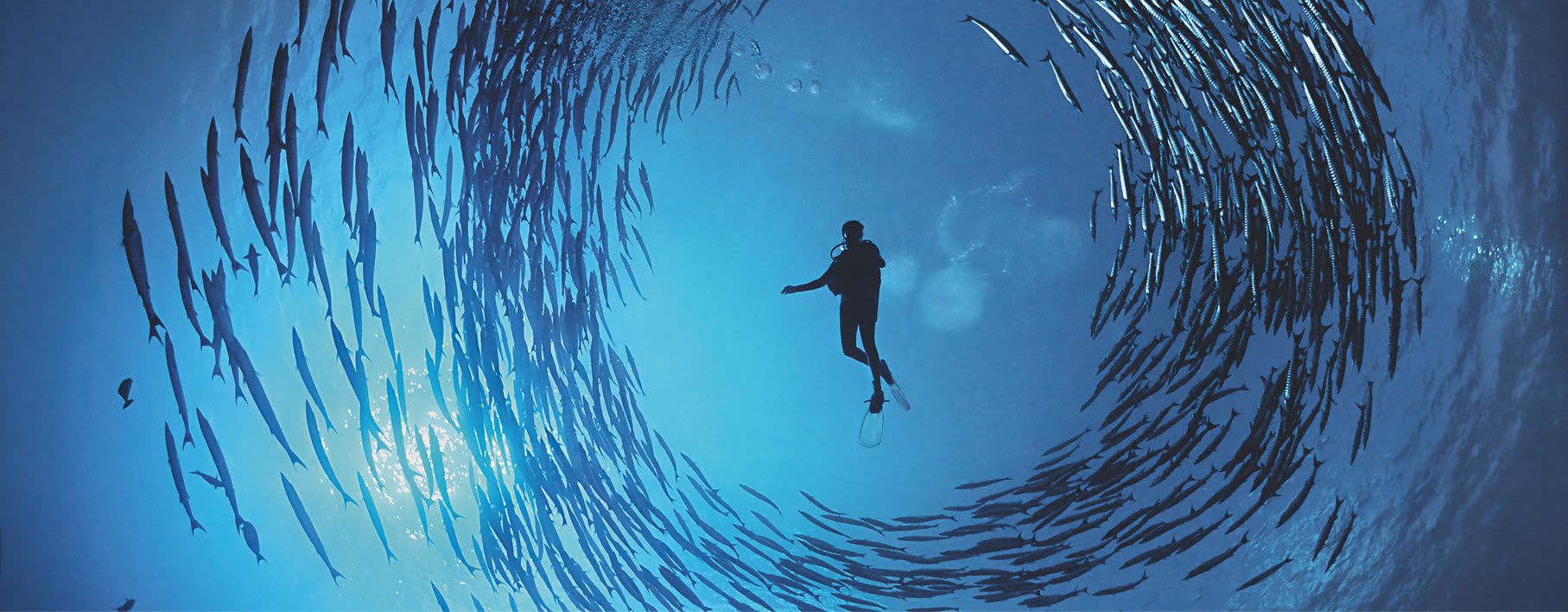 Een nieuw perspectief onthullen