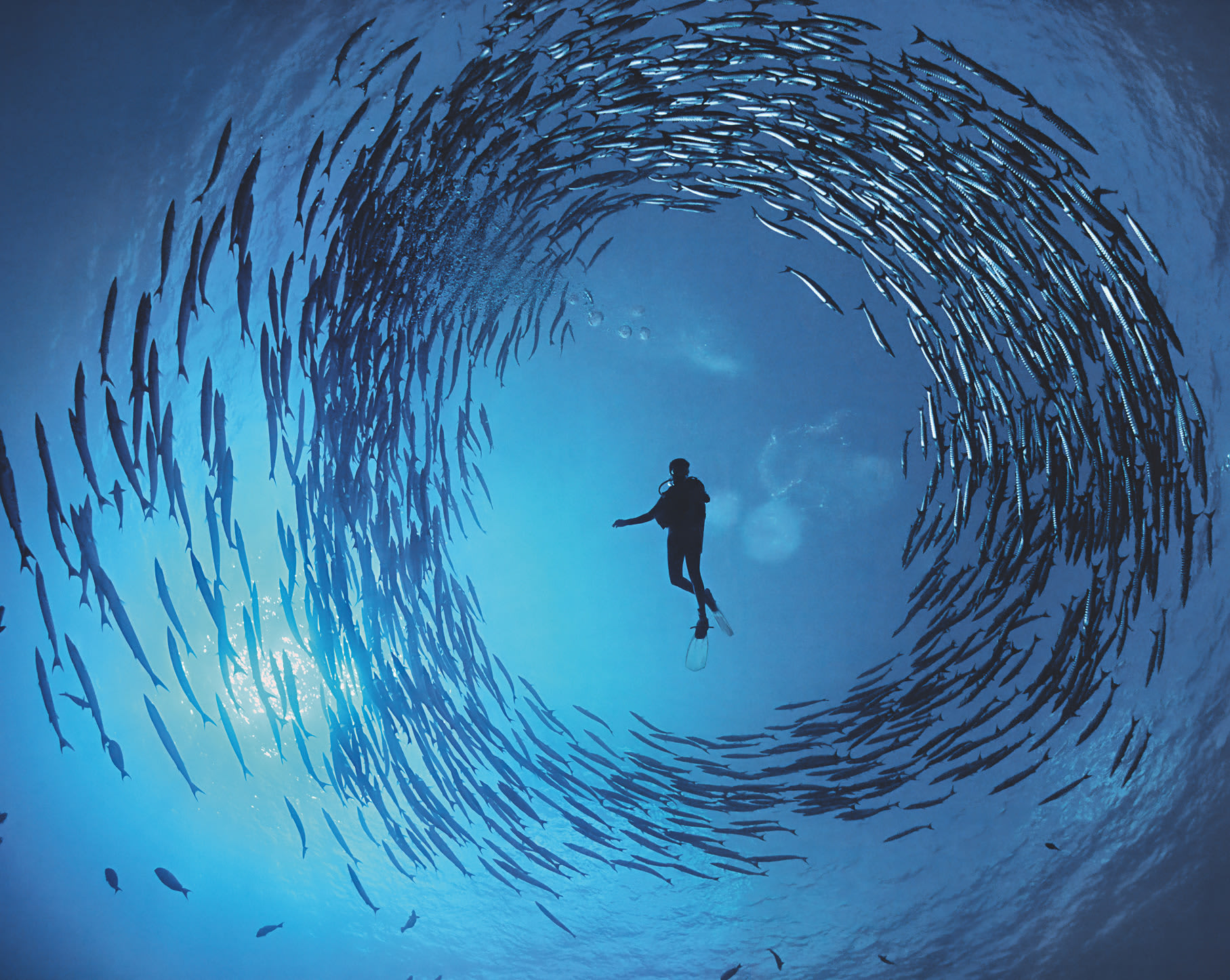 Een nieuw perspectief onthullen