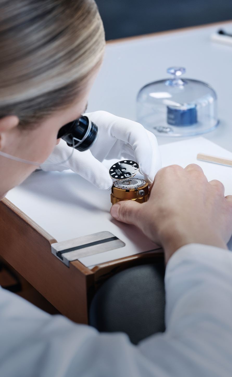 תחומי הפעילות שלנו