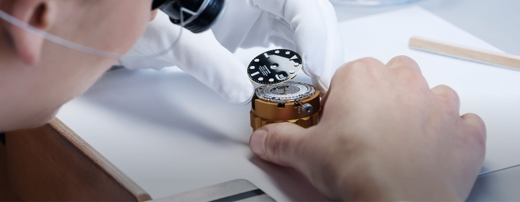 תחומי הפעילות שלנו