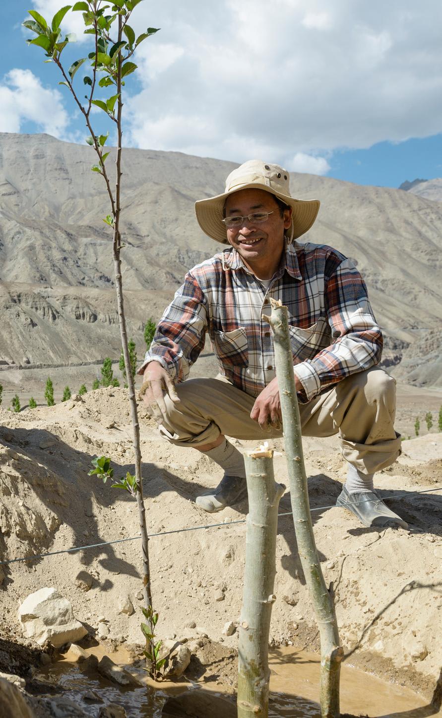 יוזמות פרפטואל