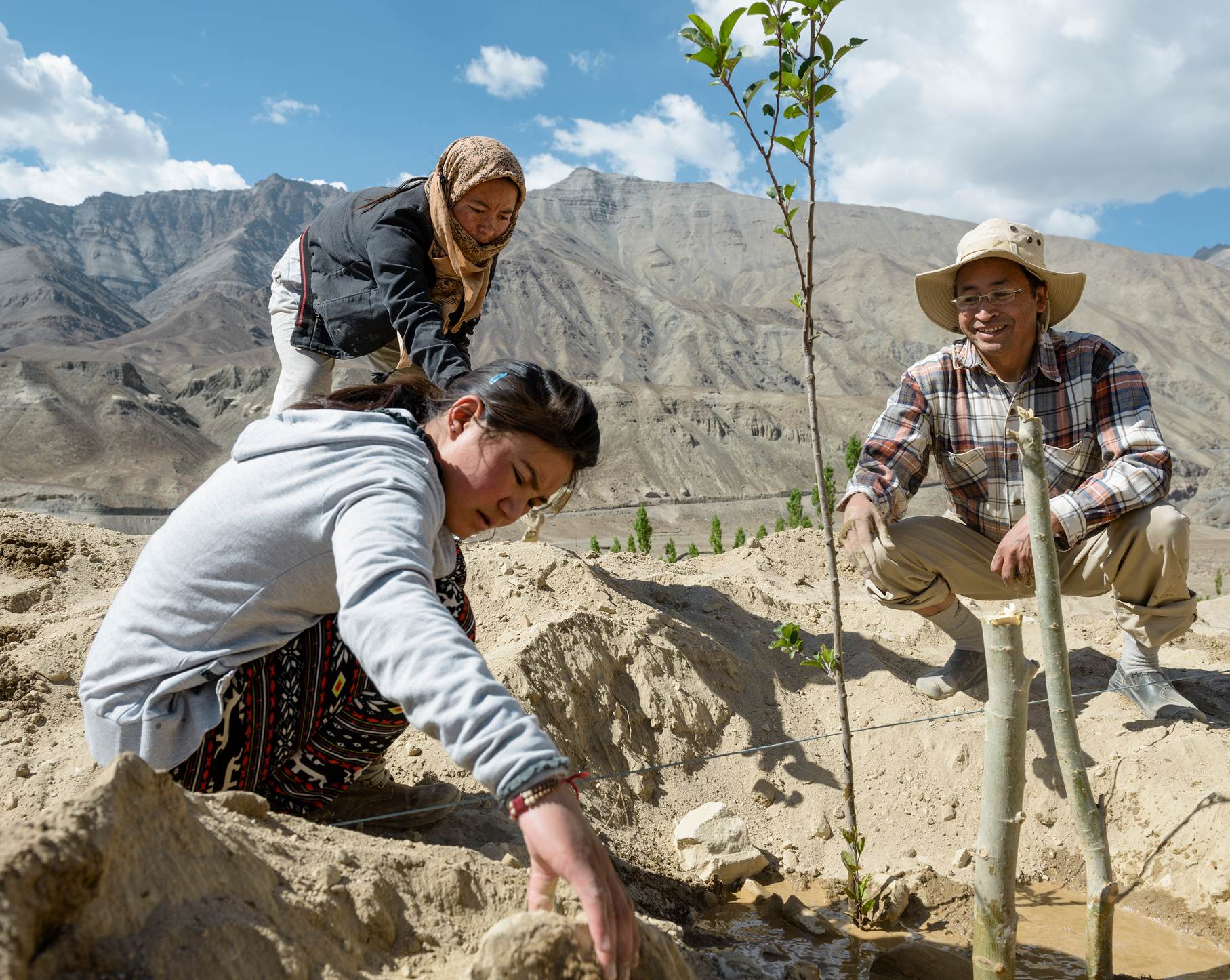 יוזמות פרפטואל