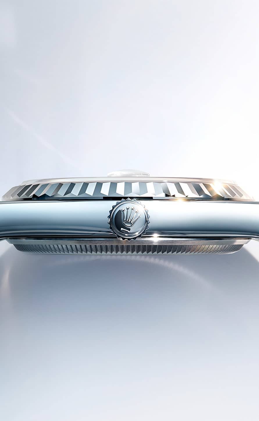 Land-Dweller - 特色