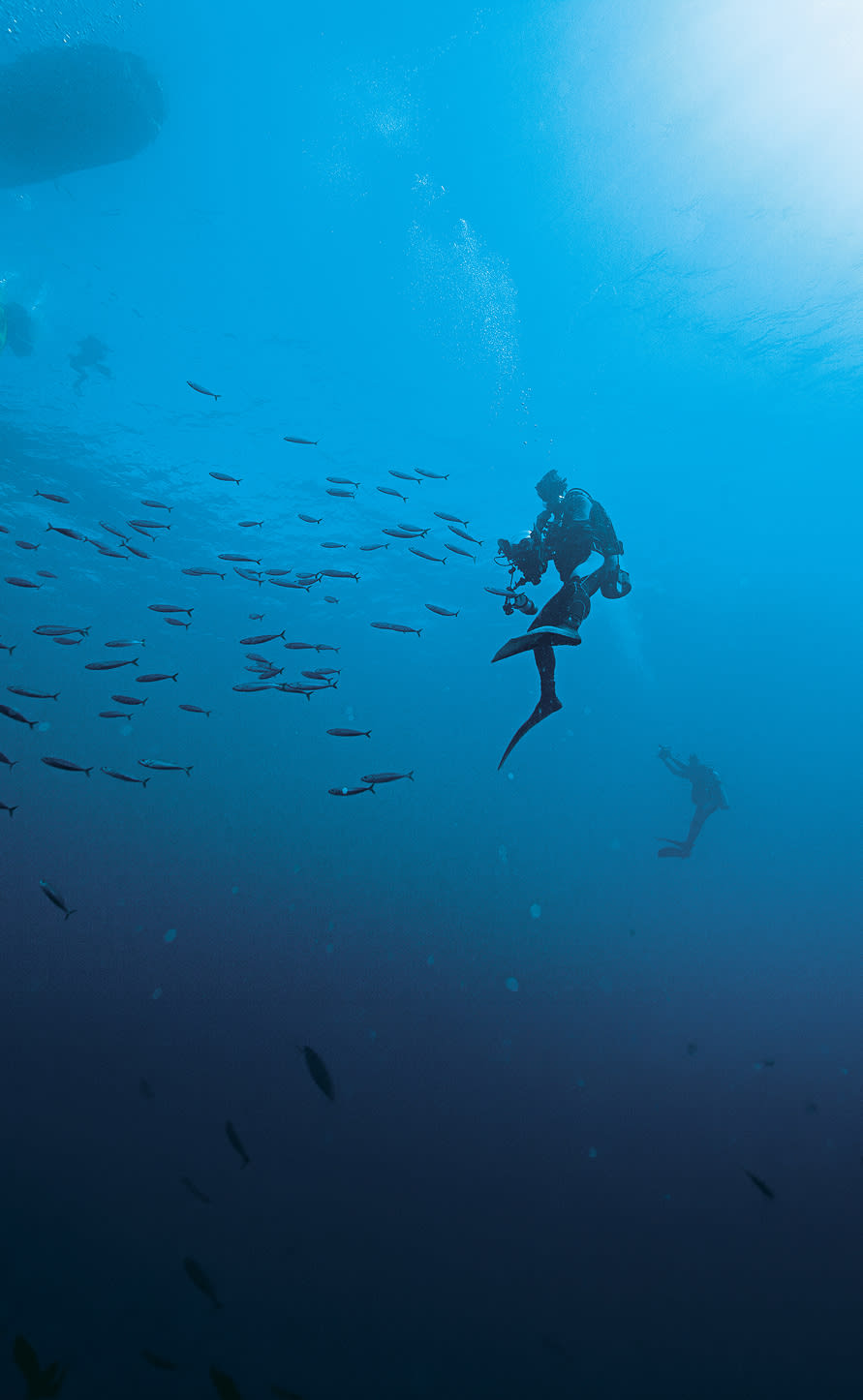 La gesta de las profundidades
