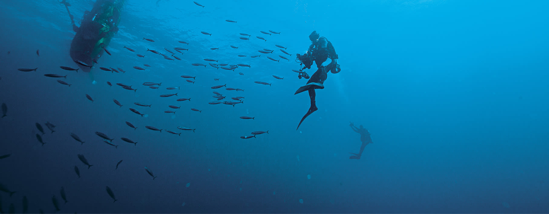 La gesta de las profundidades