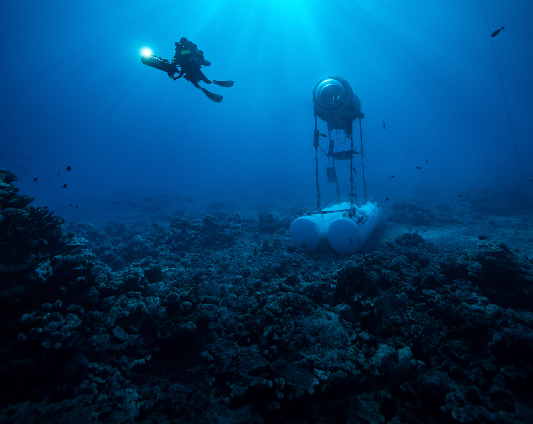 방수를 지배하다