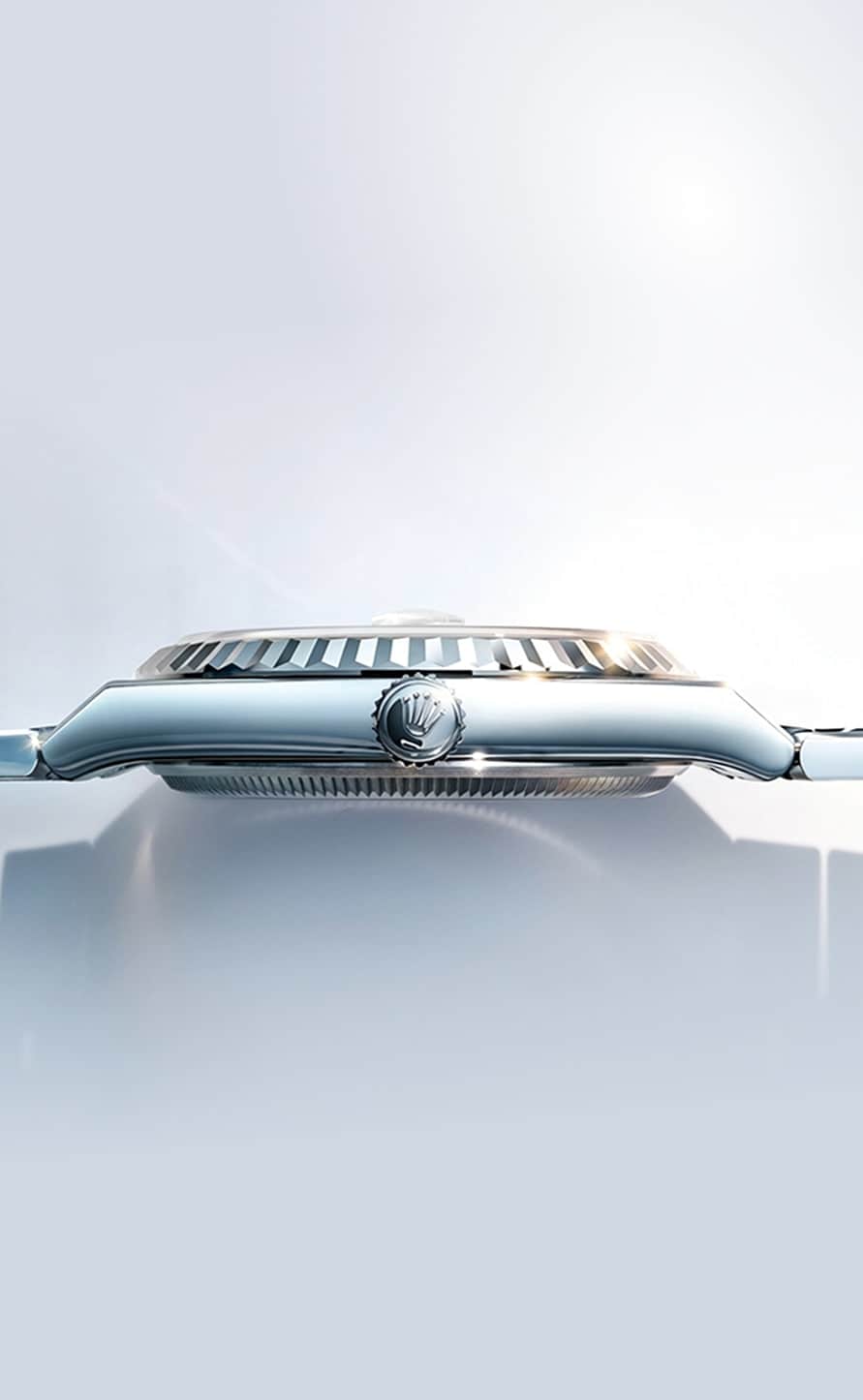 מאפיינים - לנד-דוולר