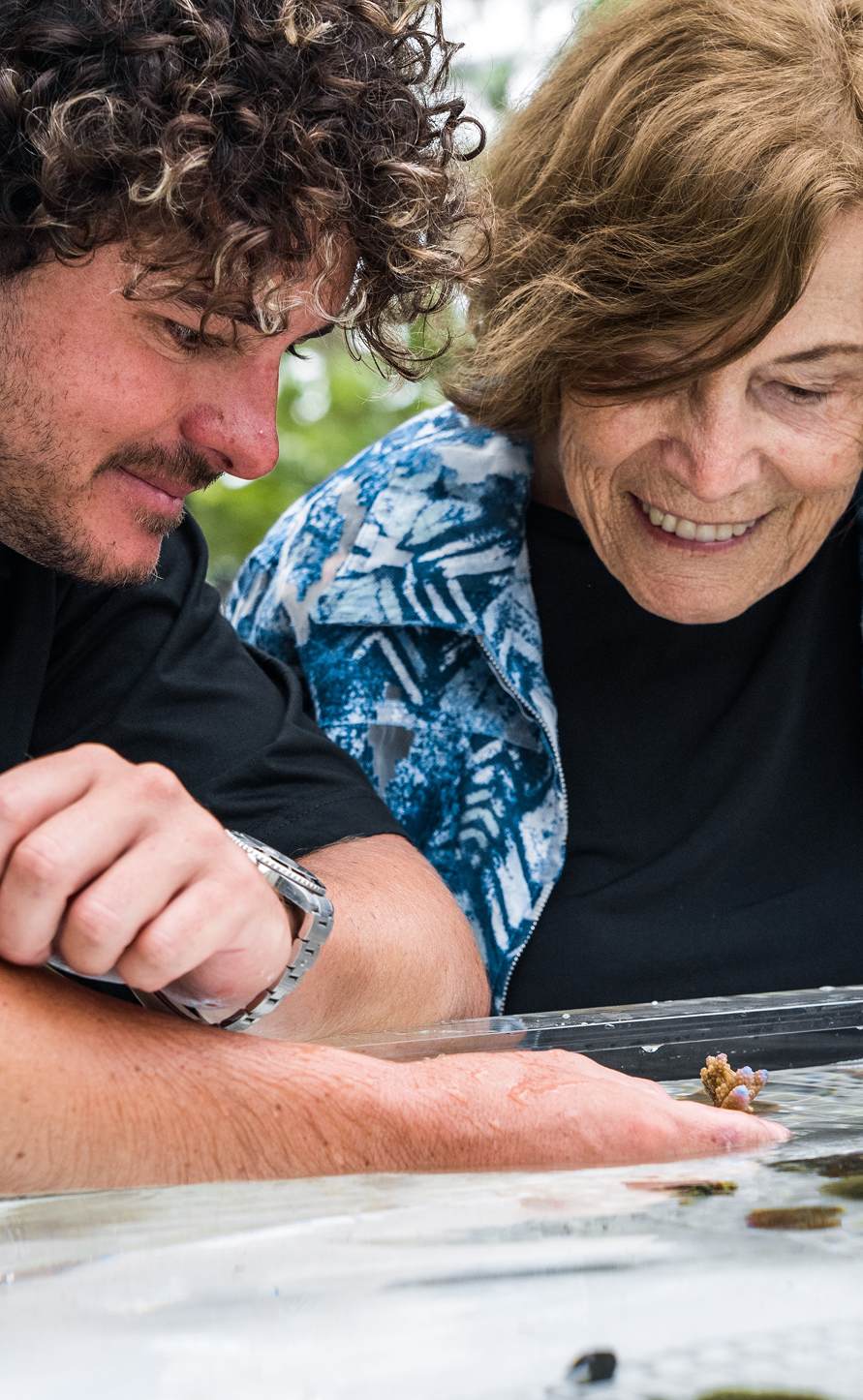 Coral Gardeners – Na ratunek rafom koralowym