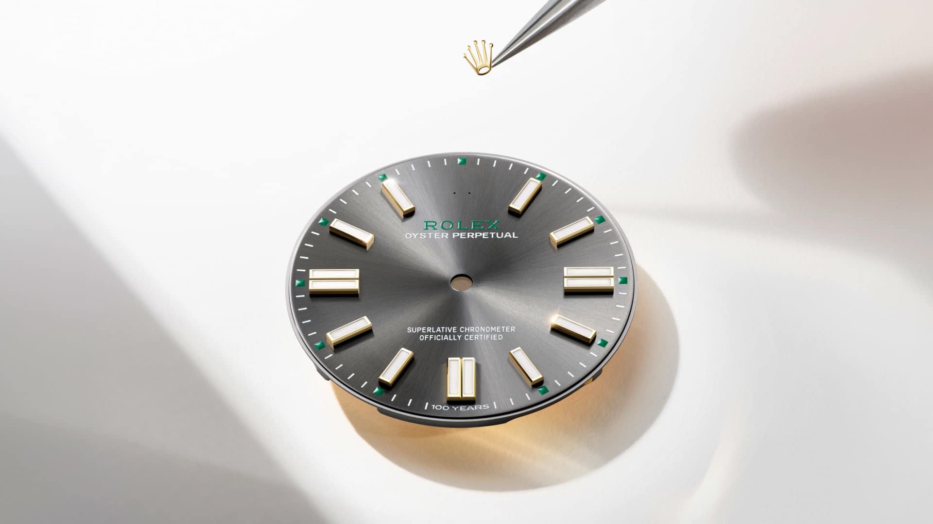 Nouvelle Oyster Perpetual 41 m134303-0001 cadran