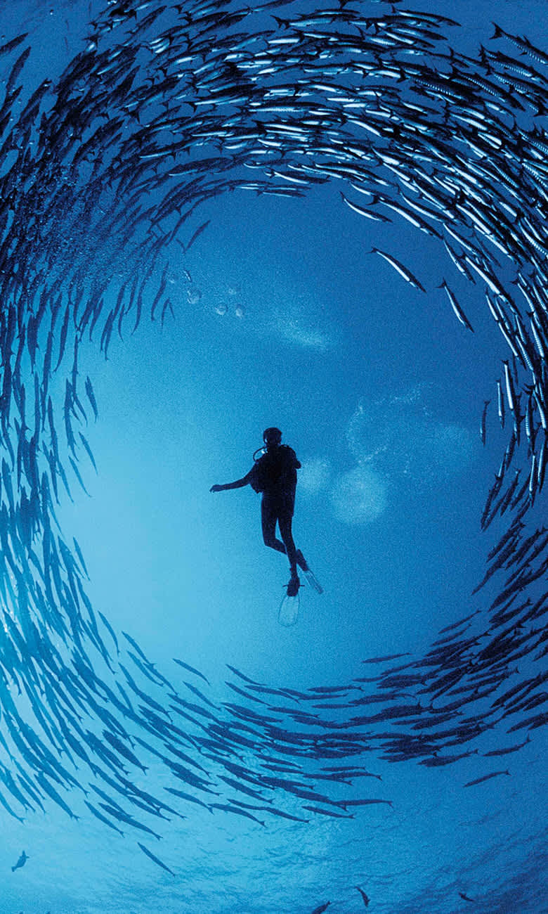 Photographing the deep