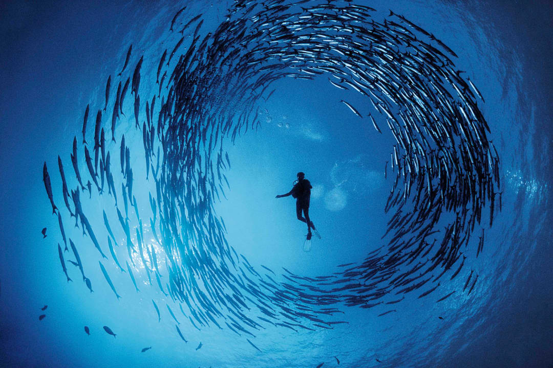 デヴィッド・デュビレ