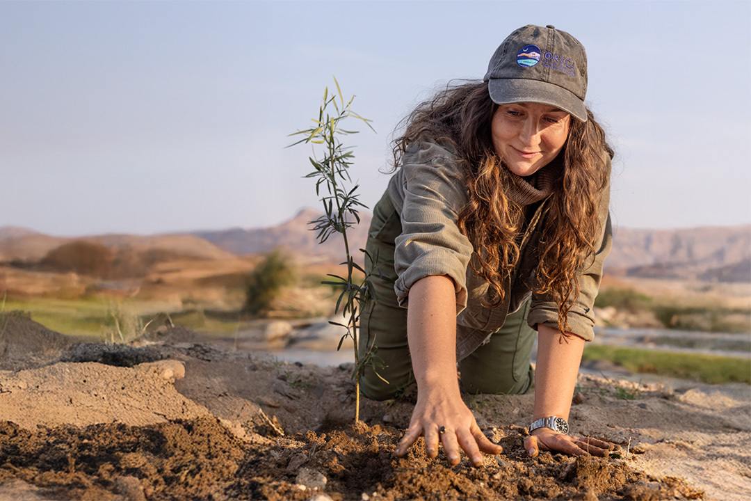 ORKCA - 砂漠のリワイルディング