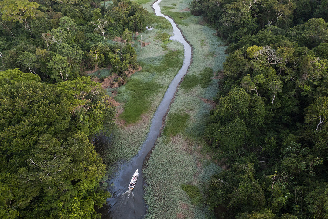 2026年度ロレックス賞