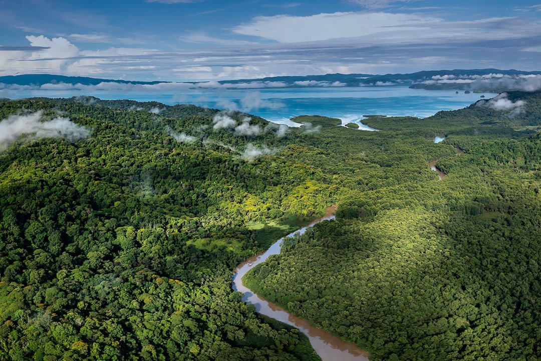 Perpetual Planet Initiative Supporting conservation