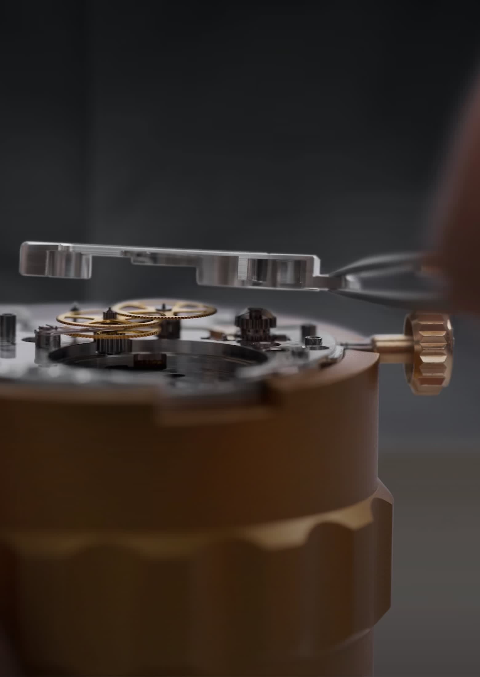 خدمات لساعتك من رولكس