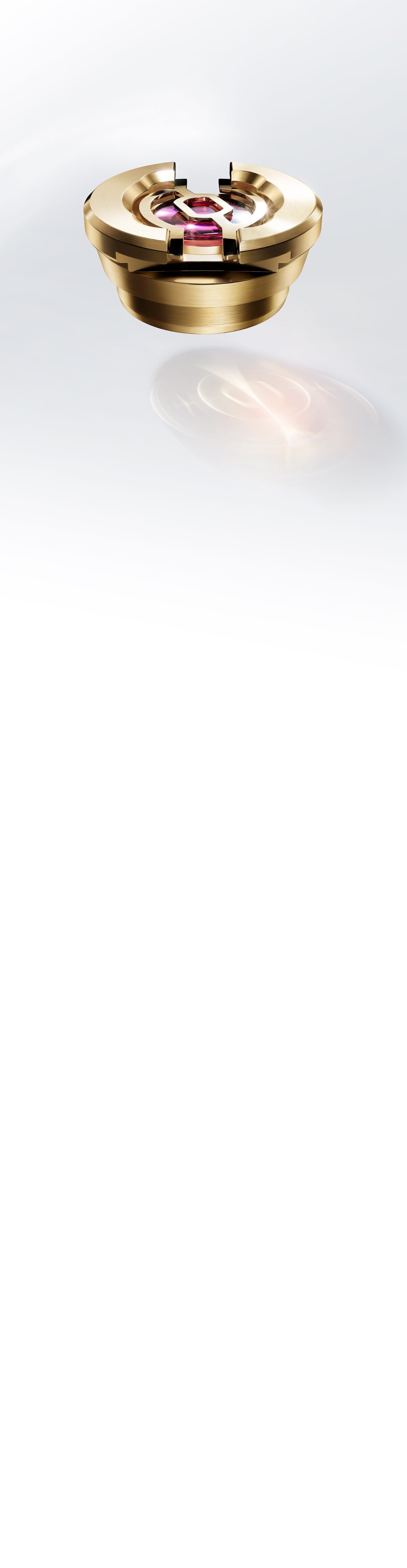 Paraflex緩震裝置