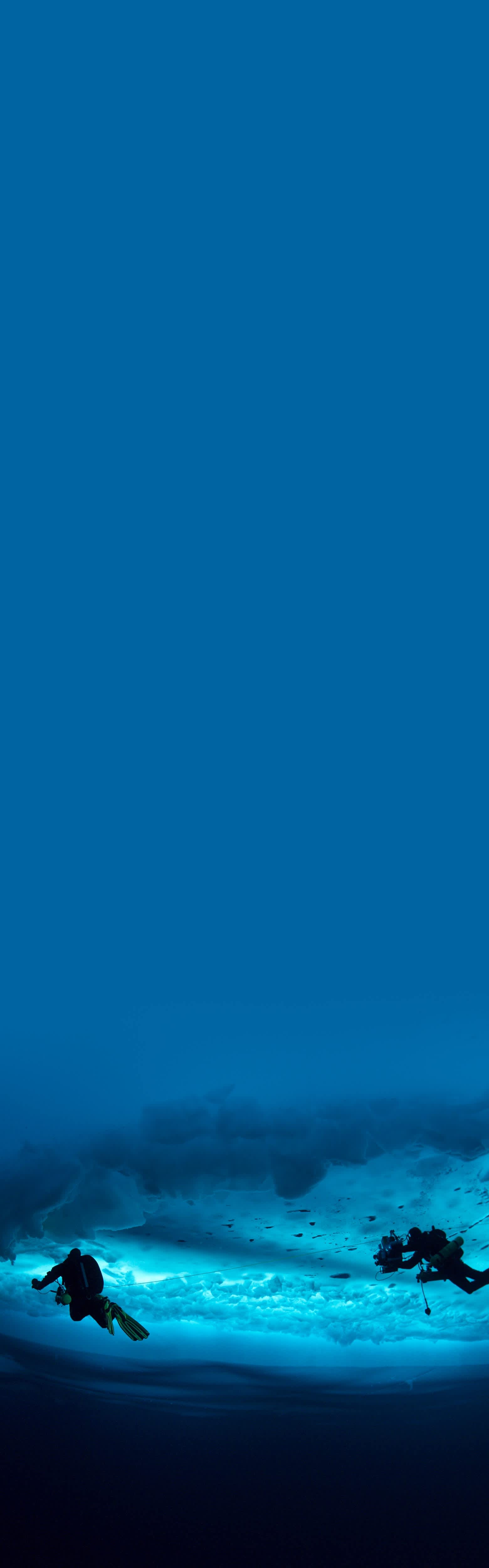 Thợ lặn dưới nước