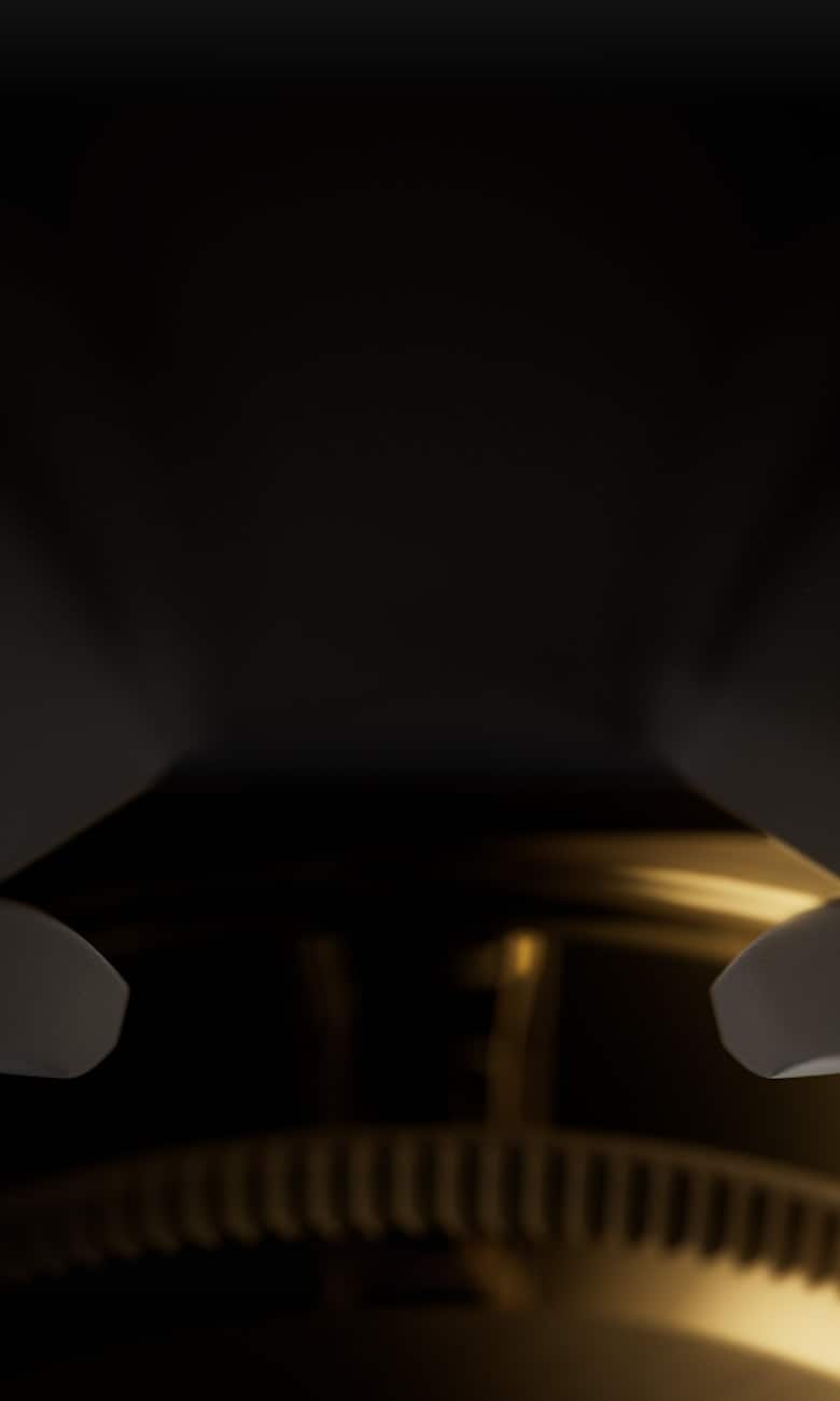 オイスターフレックス