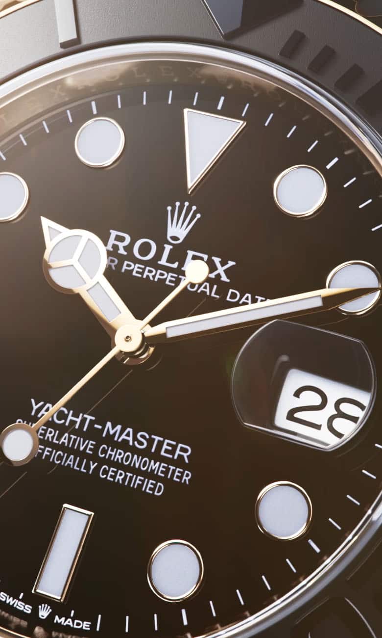 ヨットマスター