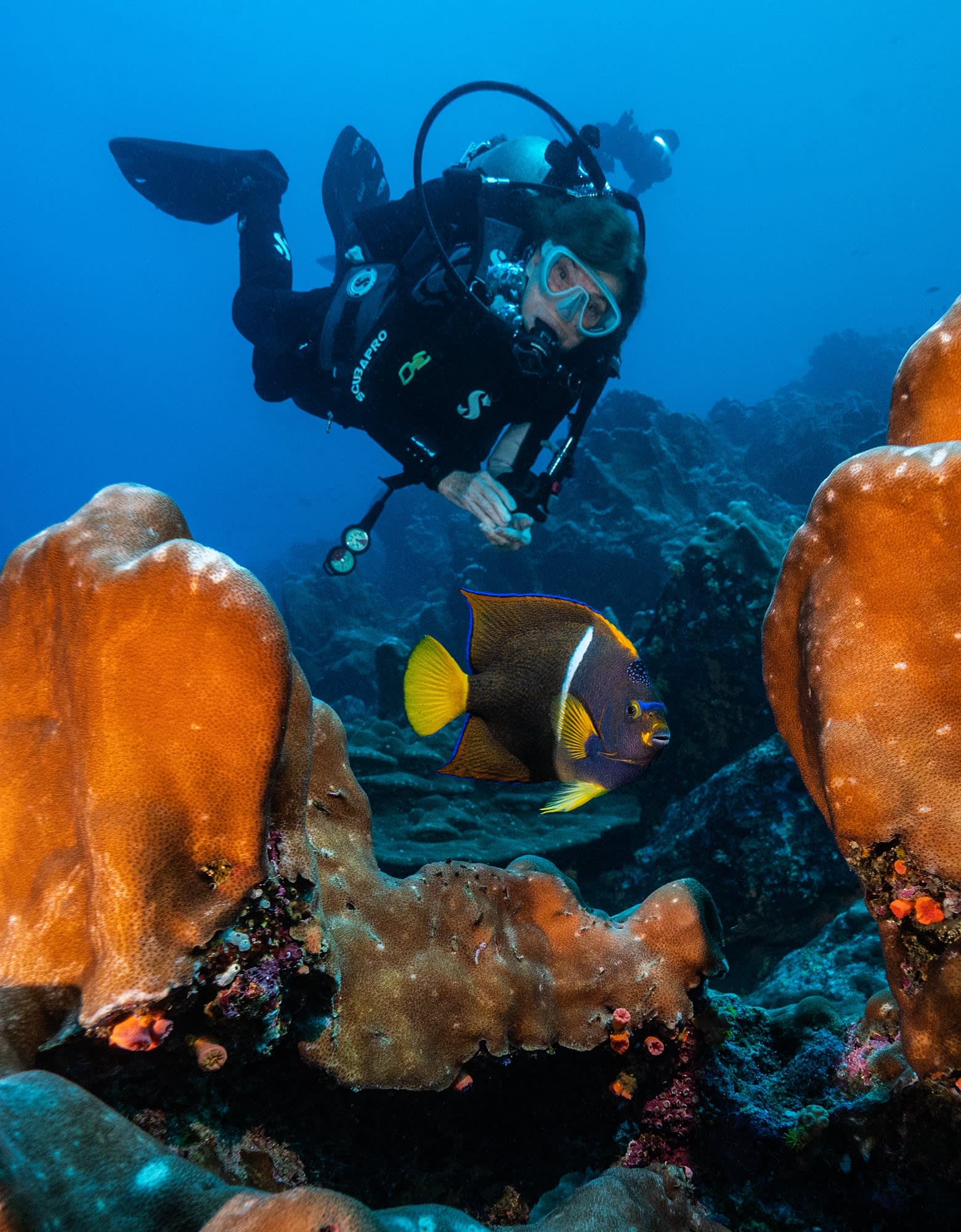Sylvia Earle