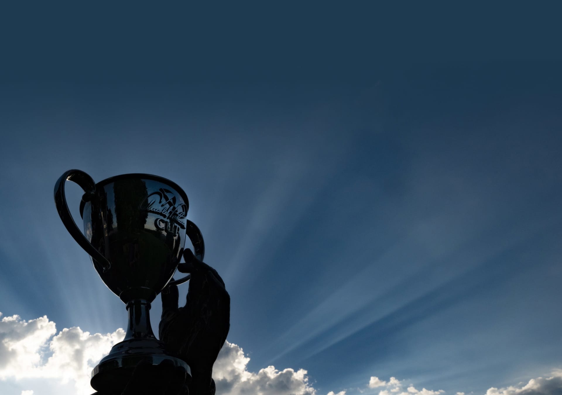 Arnold Palmer Cup