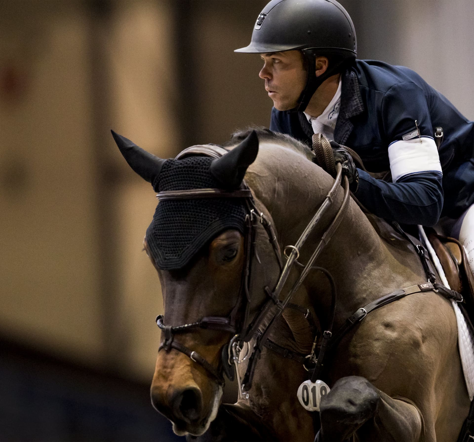 מובילים להצלחה