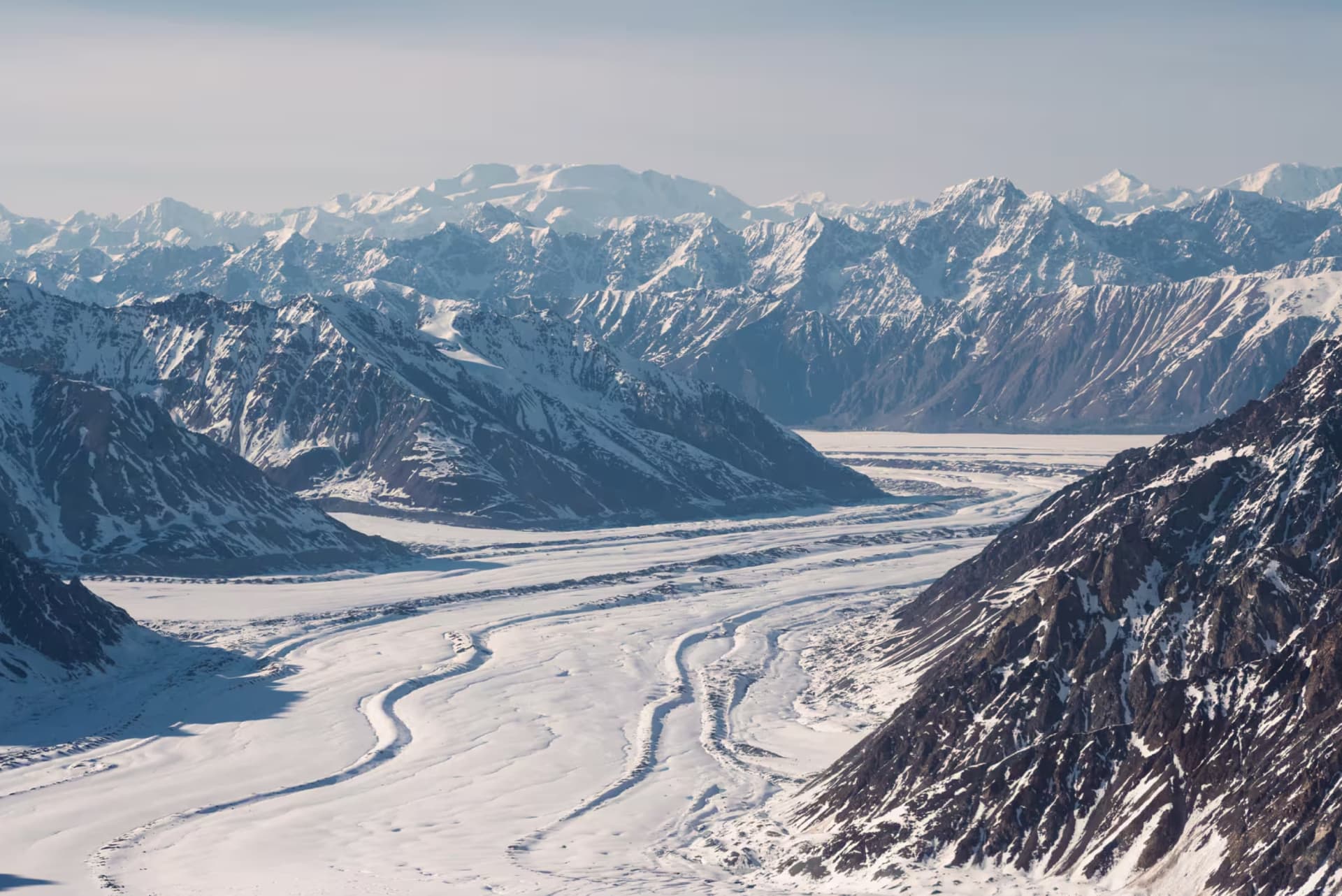 パーペチュアル プラネット ローガン山探査