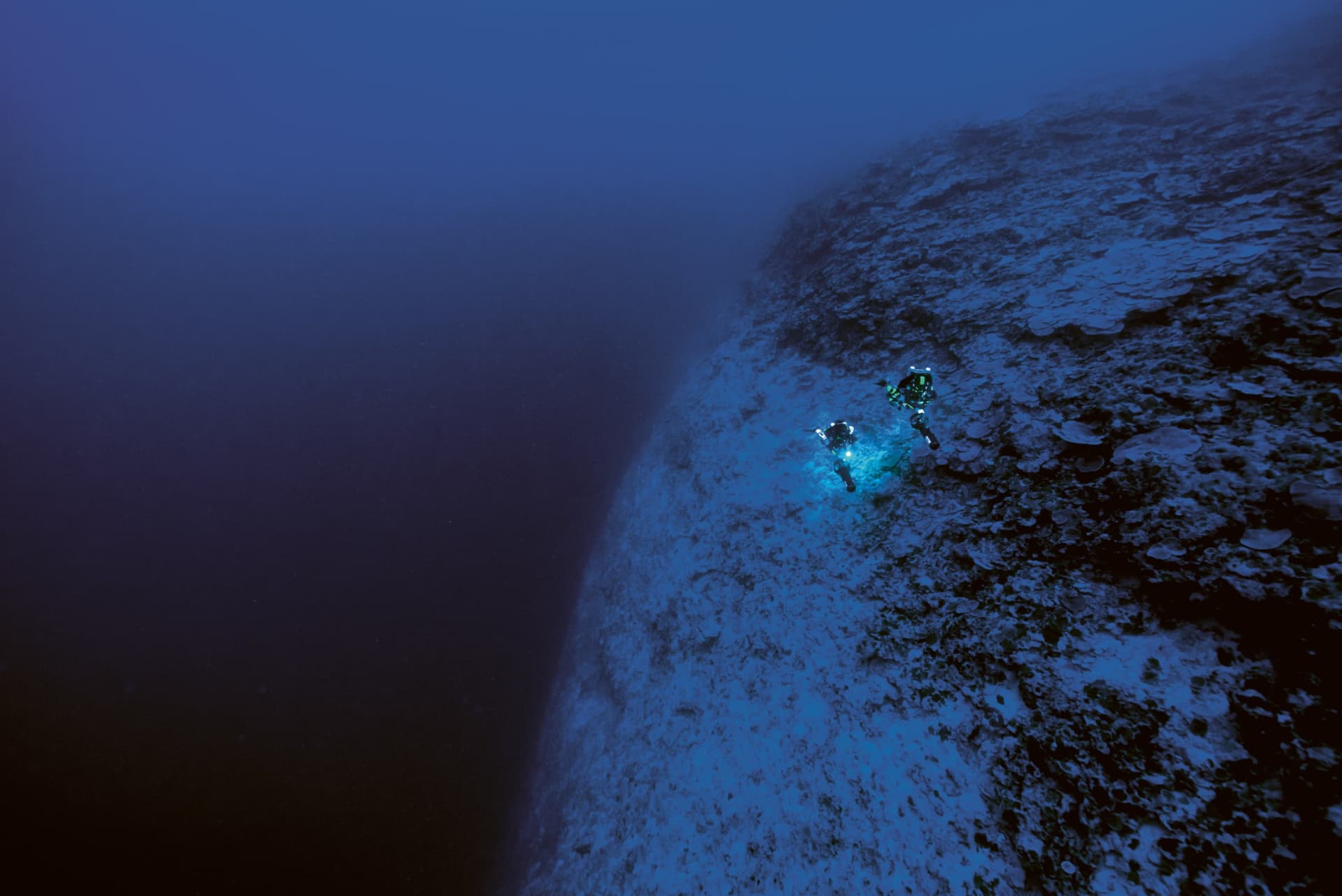 Under The Pole