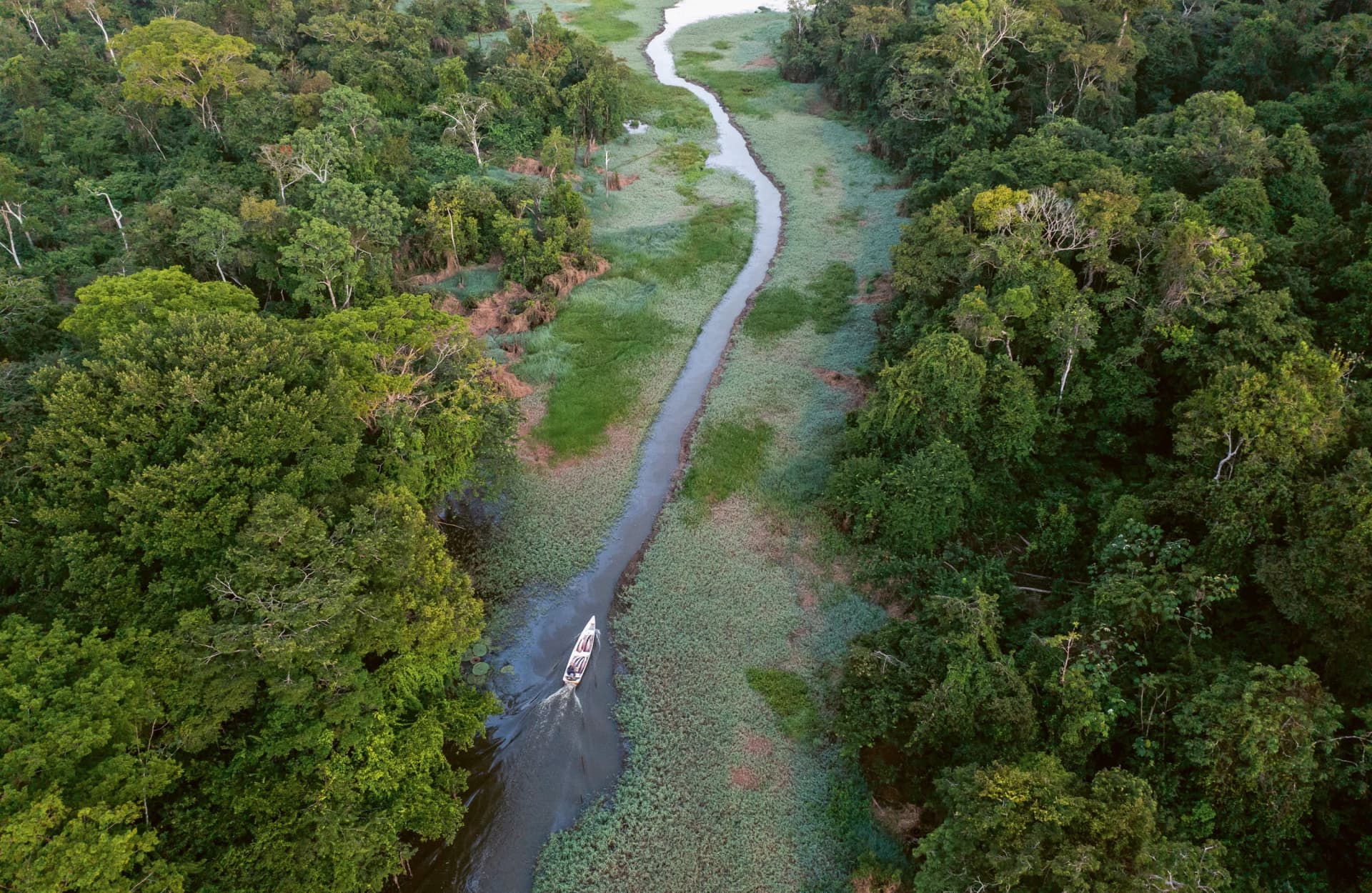 アマゾン エクスペディション