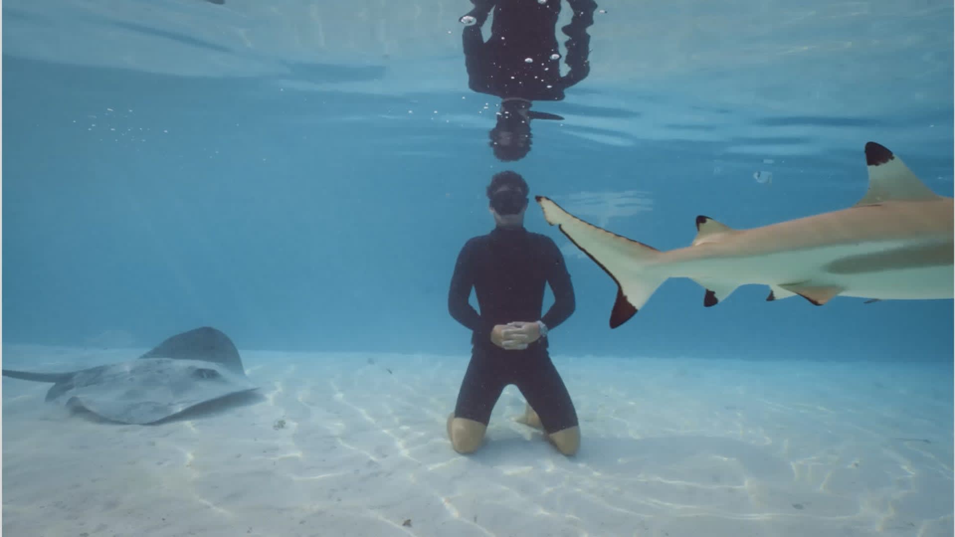 Sob novas perspectivas